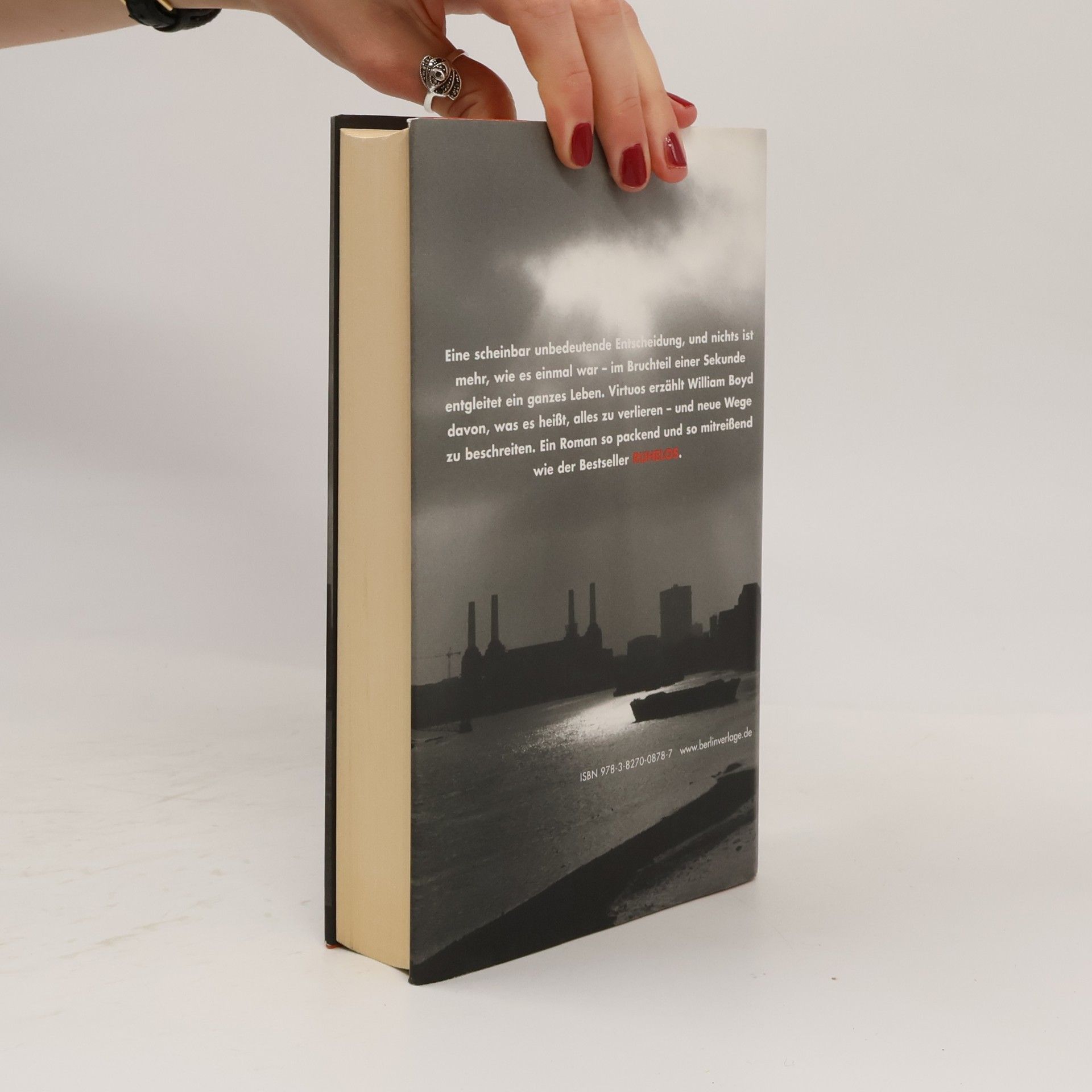 William Boyd Einfache Gewitter
