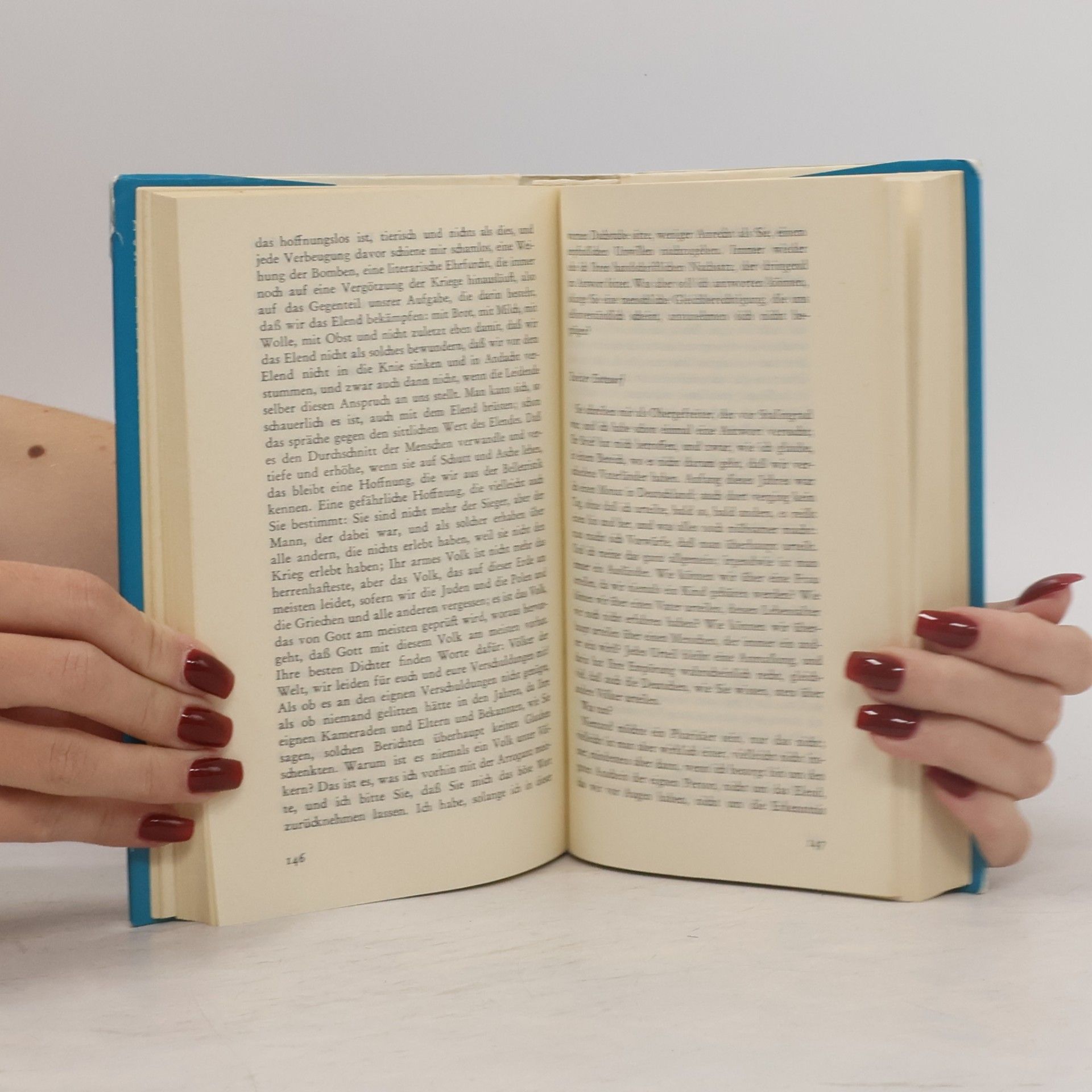 Max Frisch Tagebuch