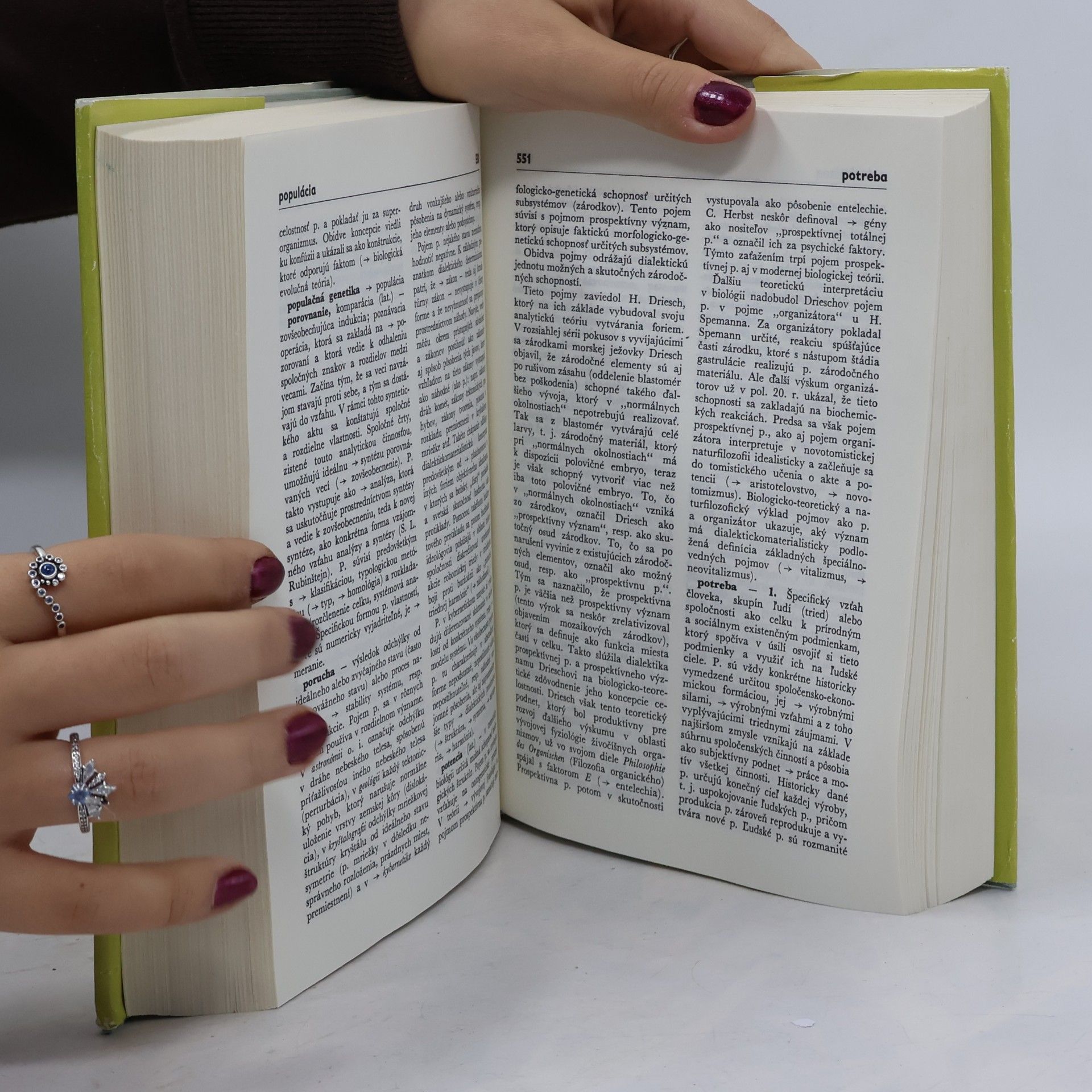 Autorenkollektiv Slovník. Filozofia a prírodné vedy