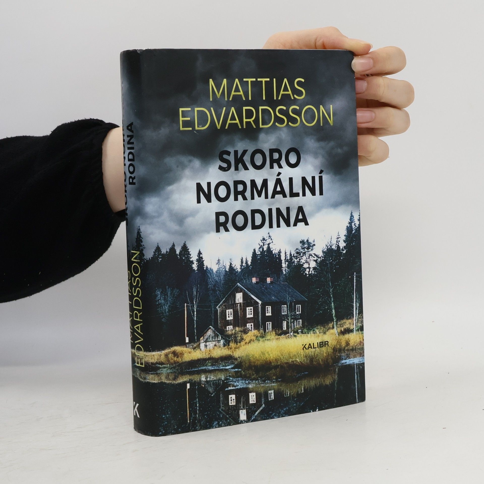 Mattias Edvardsson Skoro normální rodina