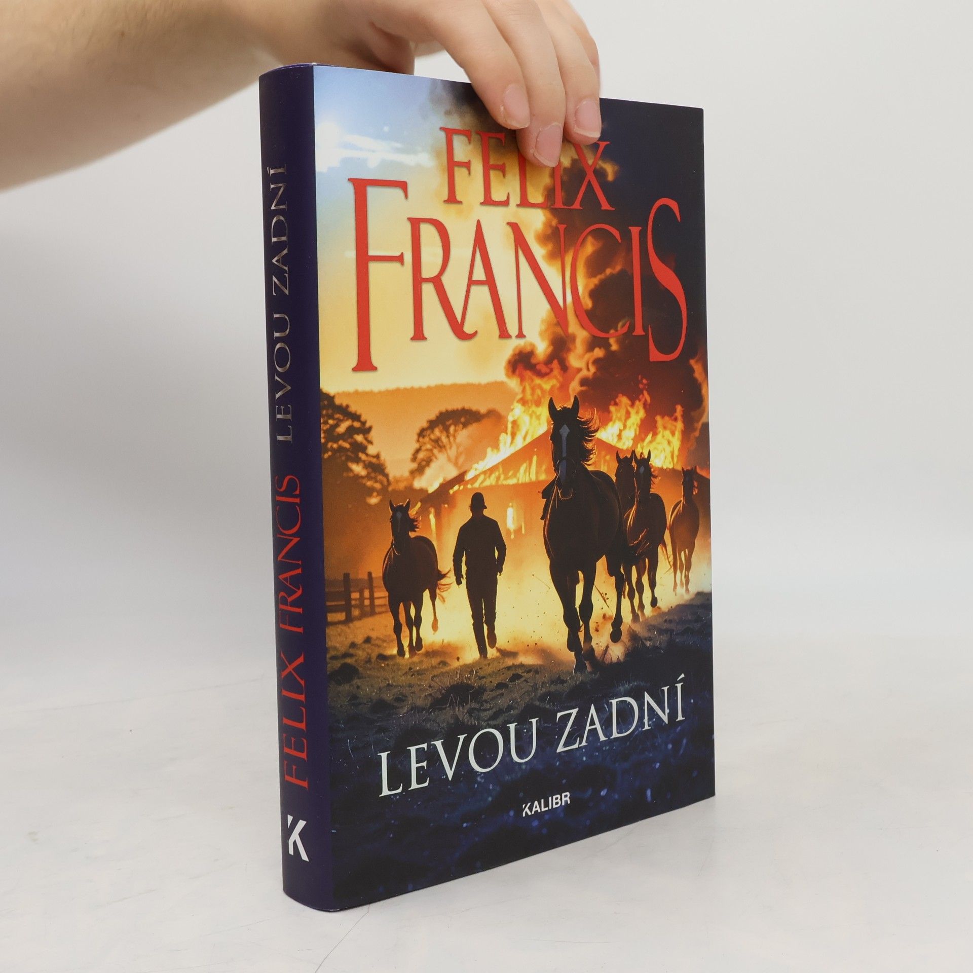 Levou zadní