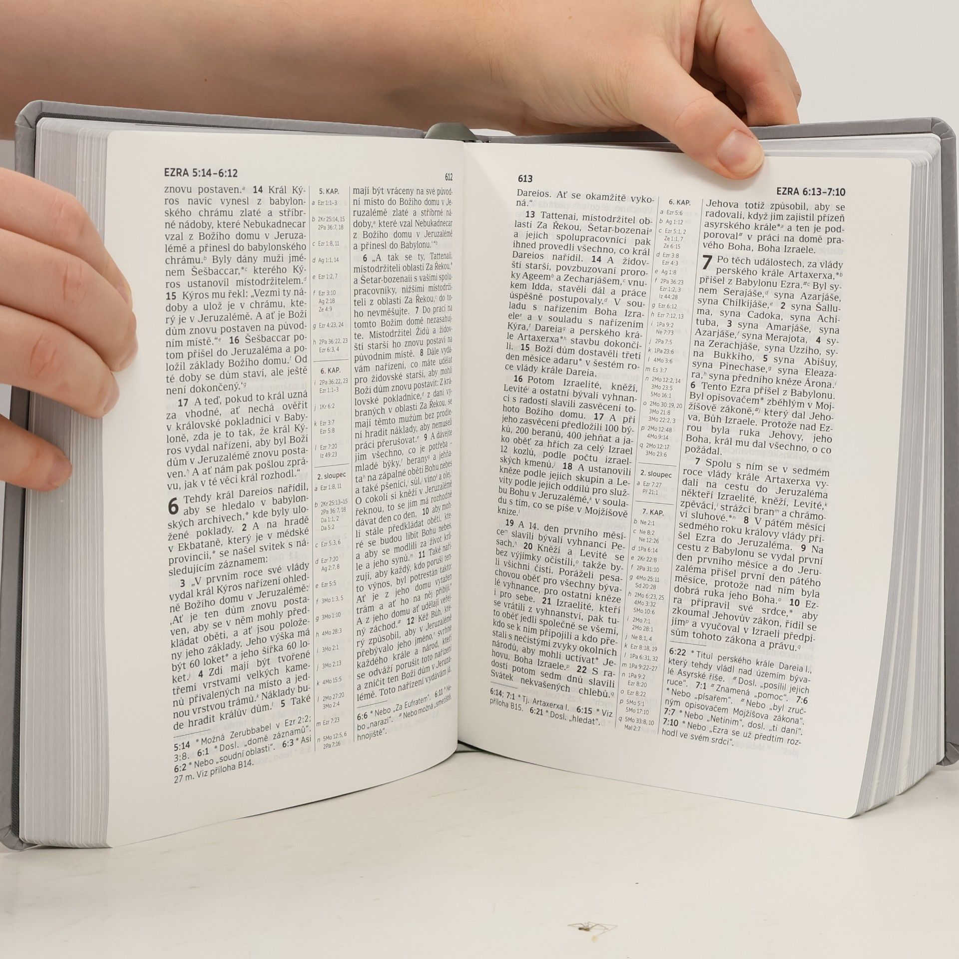 Kolektív autorov Bible: překlad nového světa