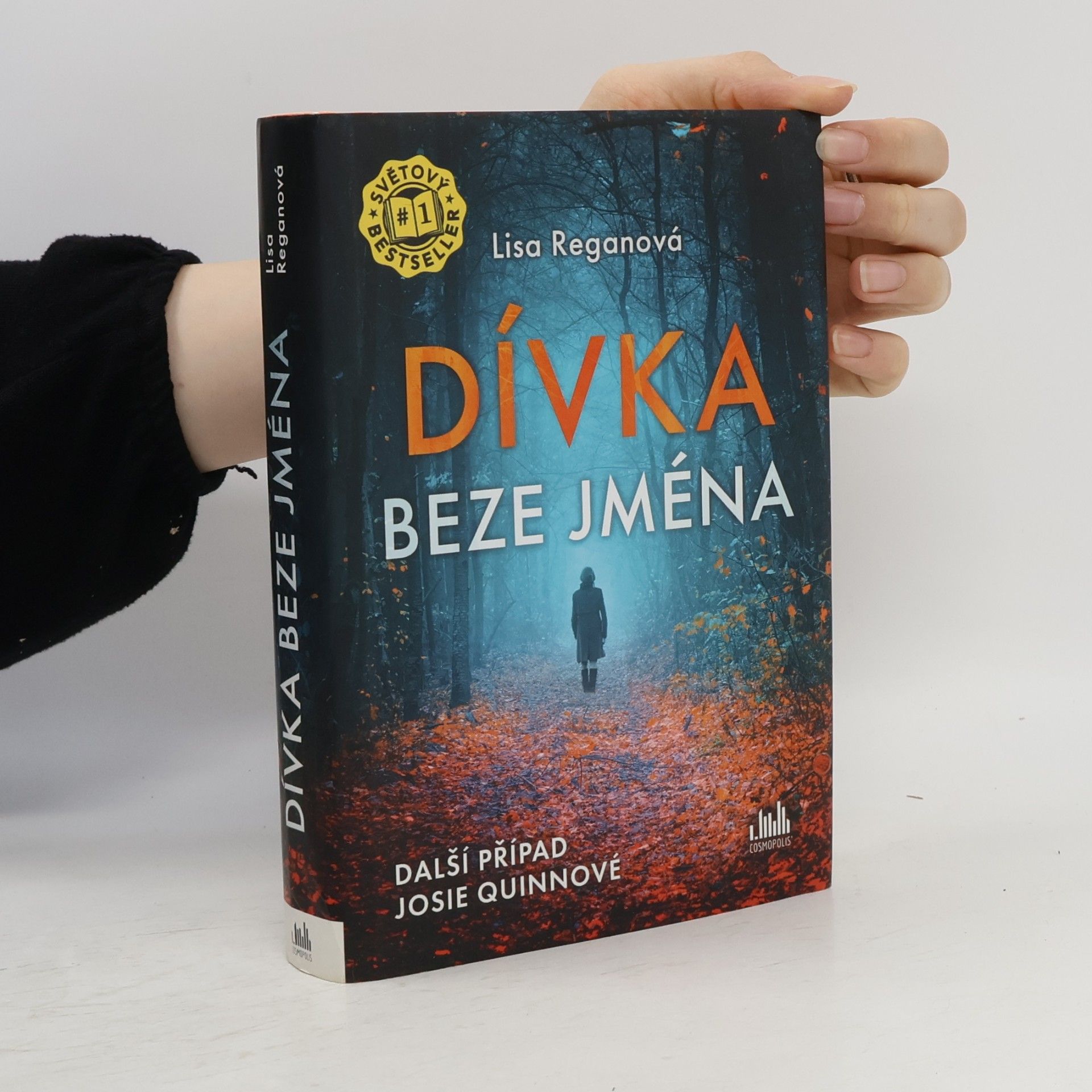 Lisa Regan Dívka beze jména: Další případ Josie Quinnové