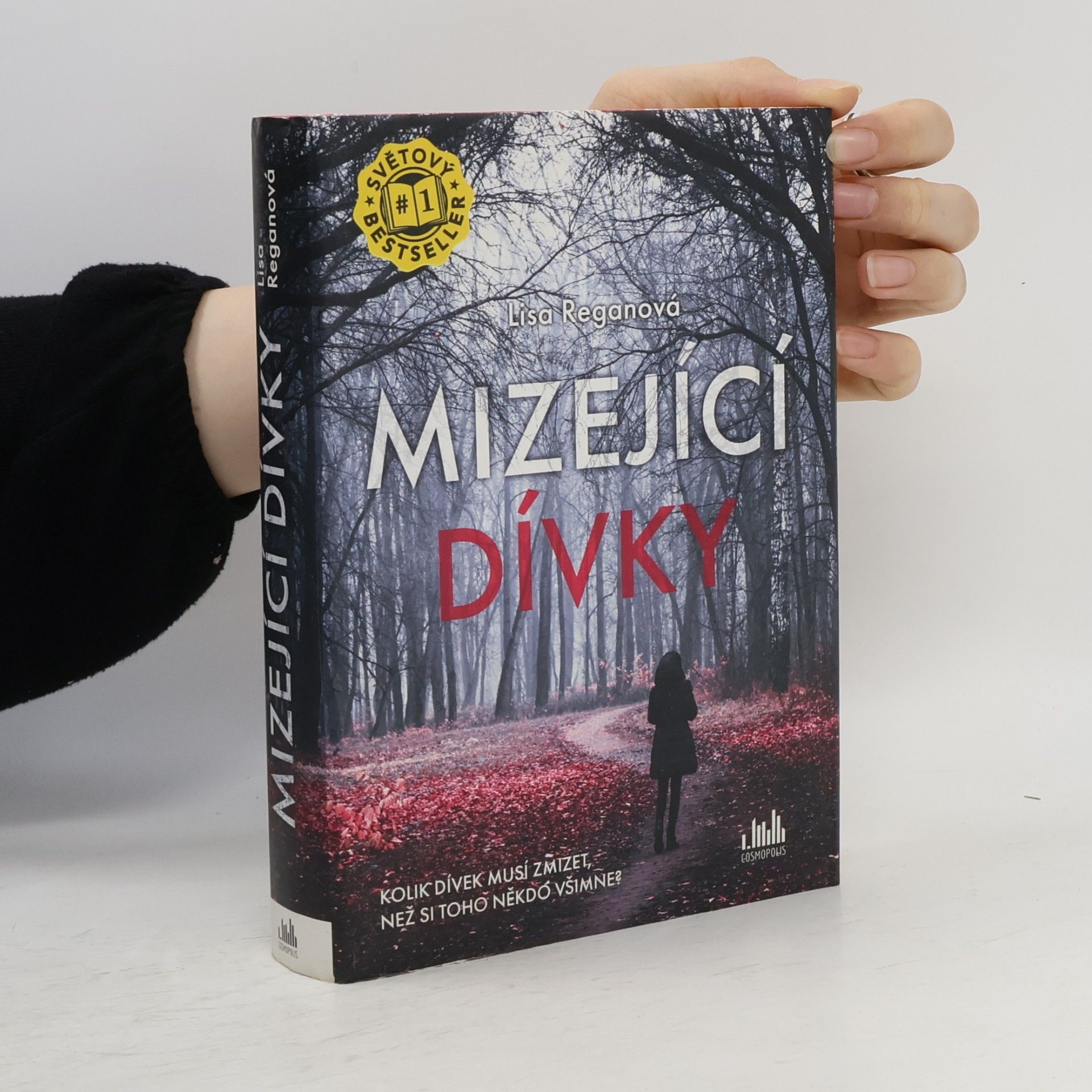 Lisa Regan Mizející dívky