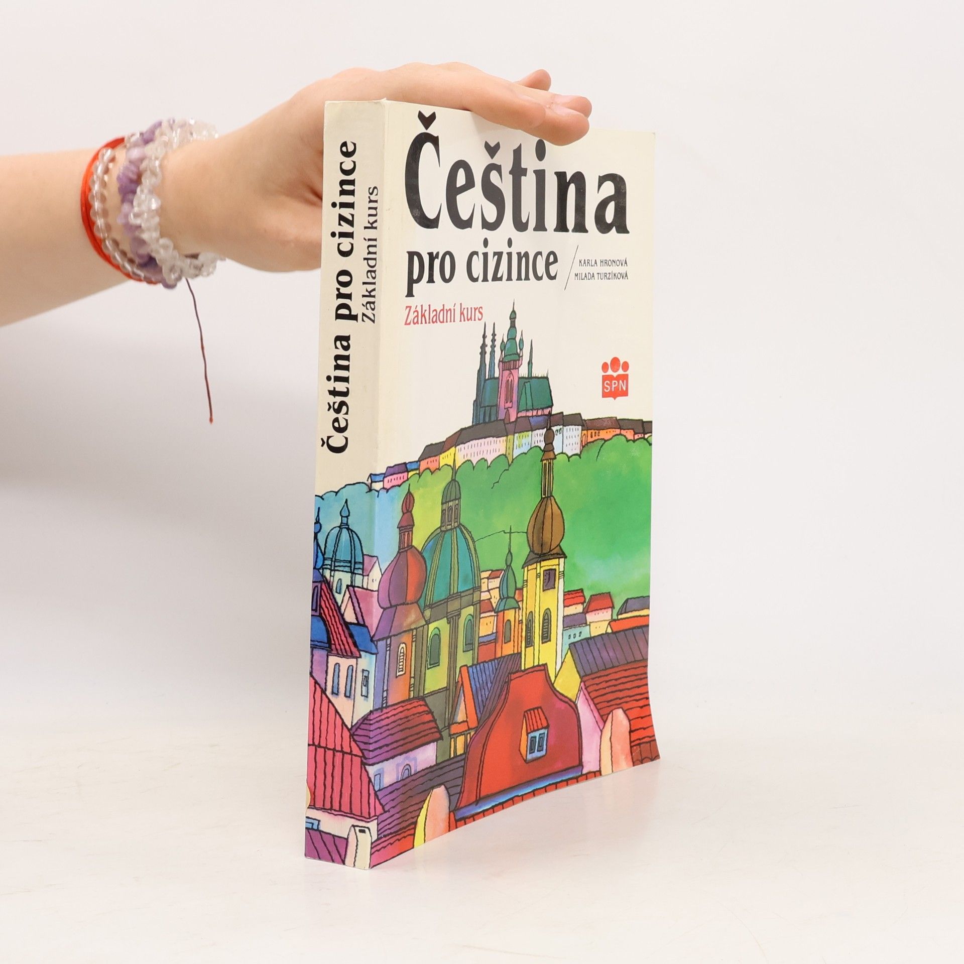 Čeština pro cizince : základní kurs