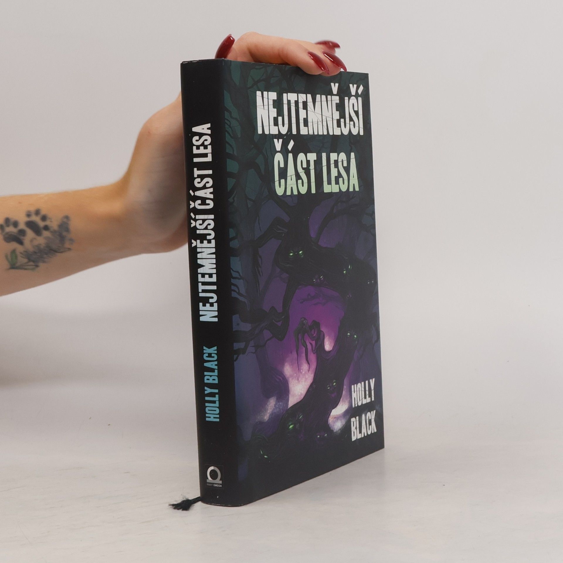 Holly Black Nejtemnější část lesa
