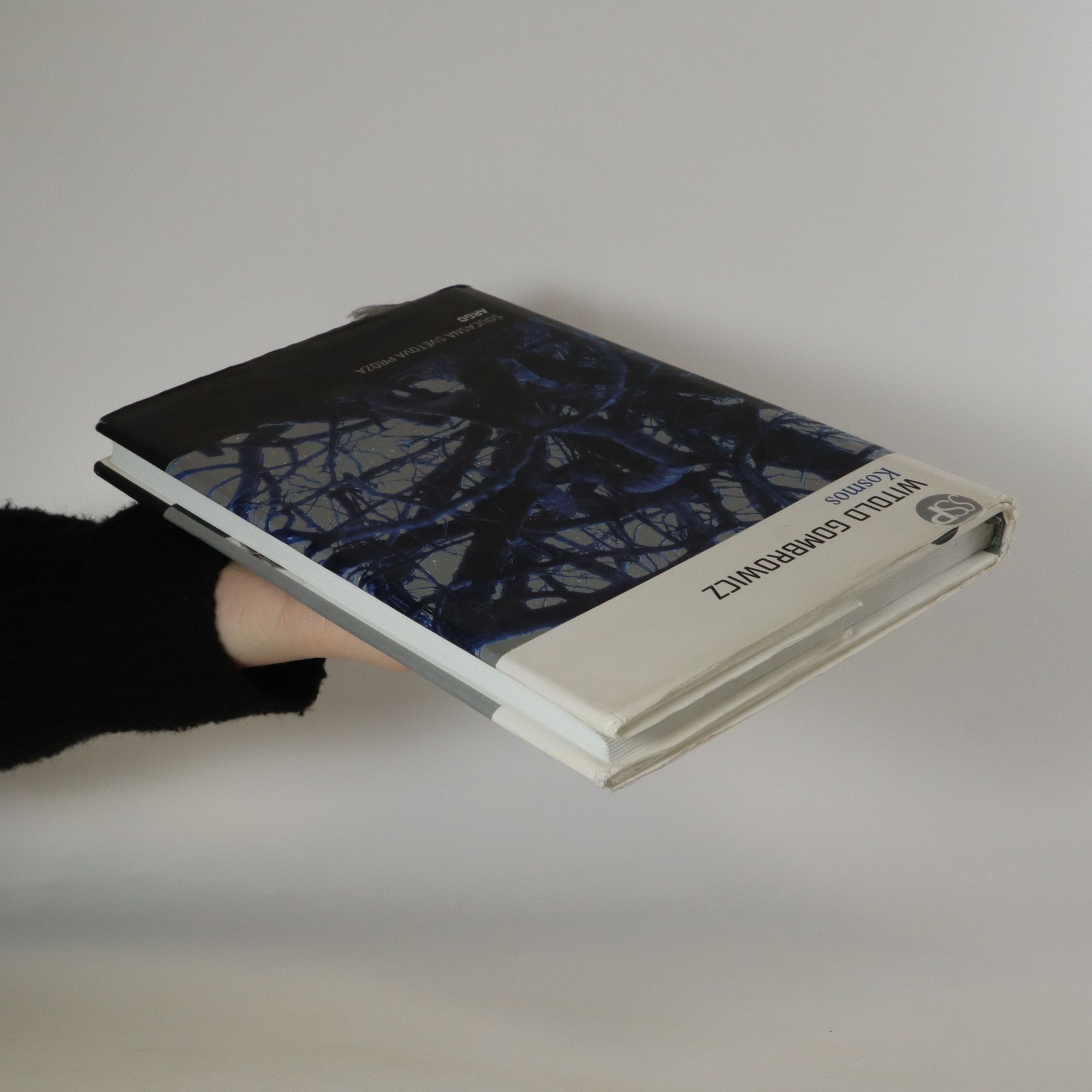 Witold Gombrowicz Kosmos