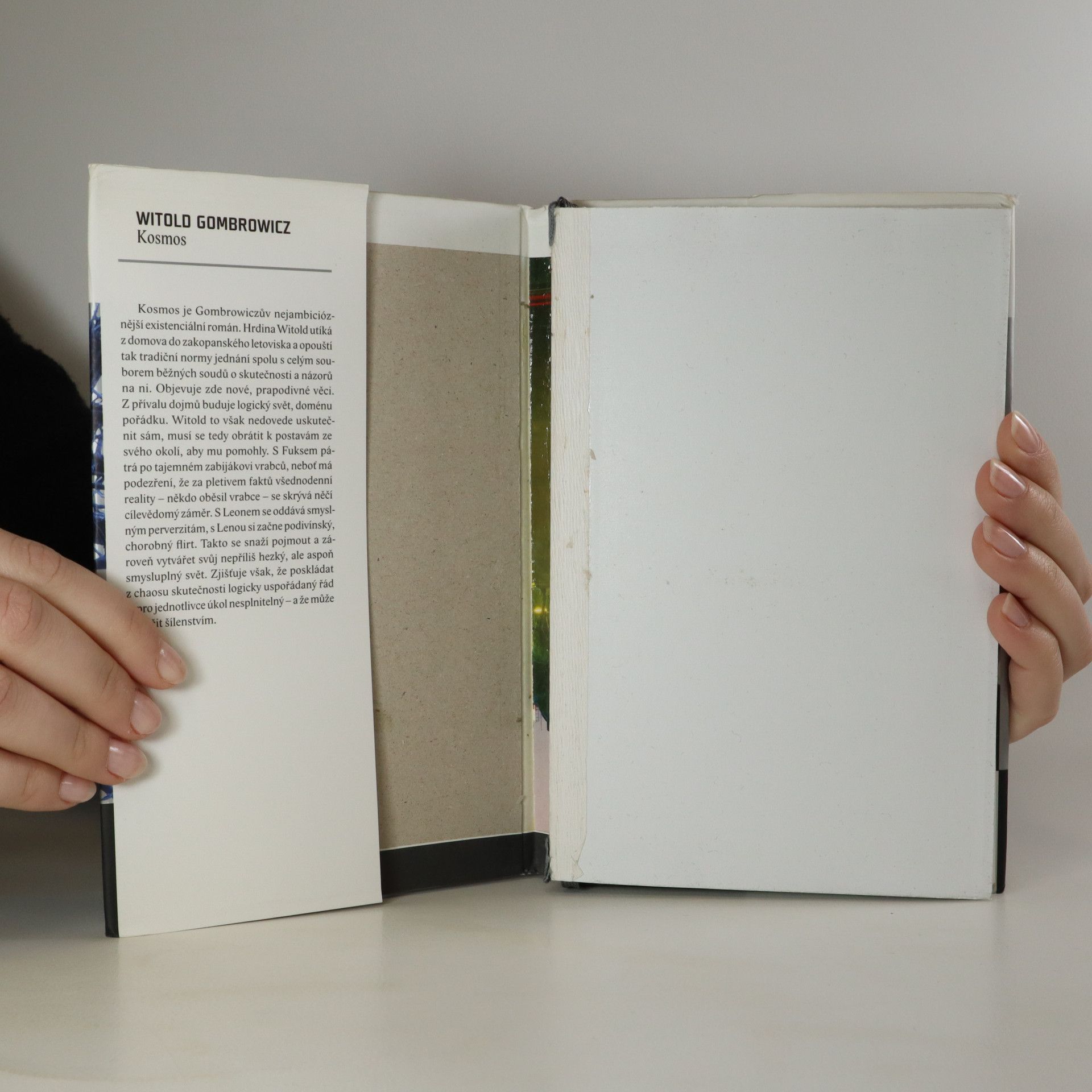 Witold Gombrowicz Kosmos