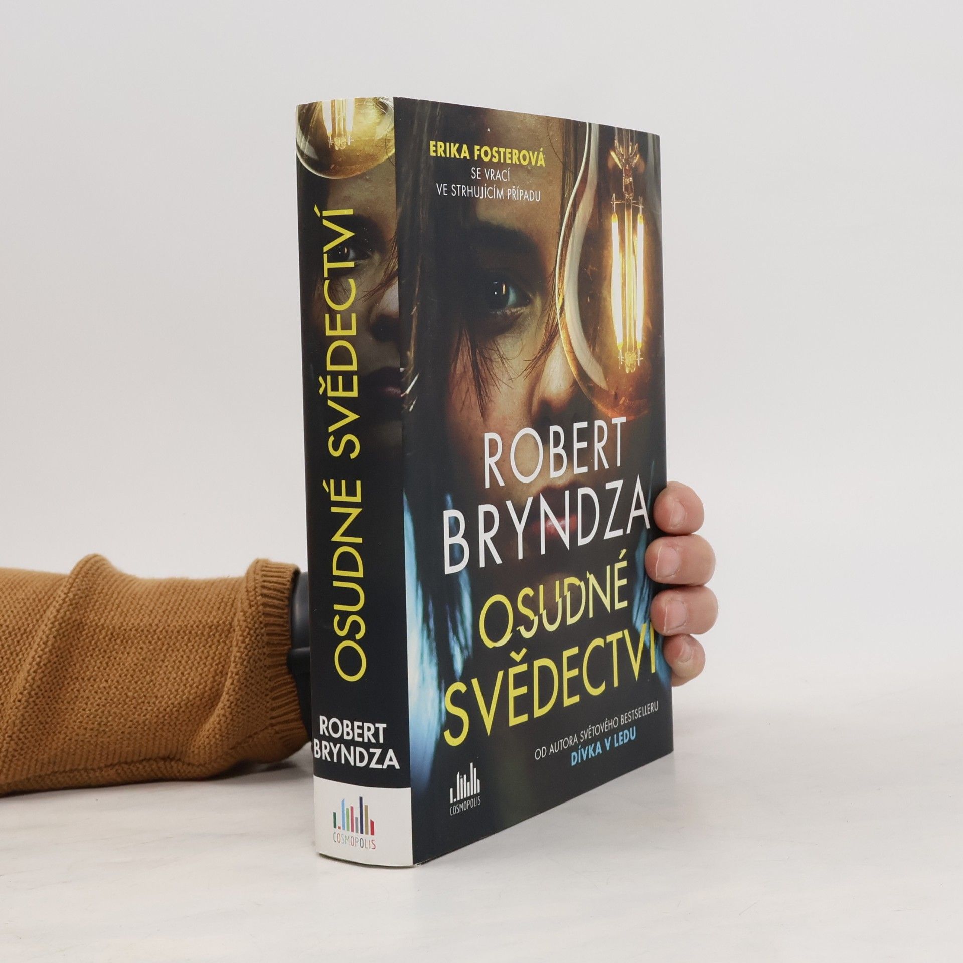 Robert Bryndza Osudné svědectví