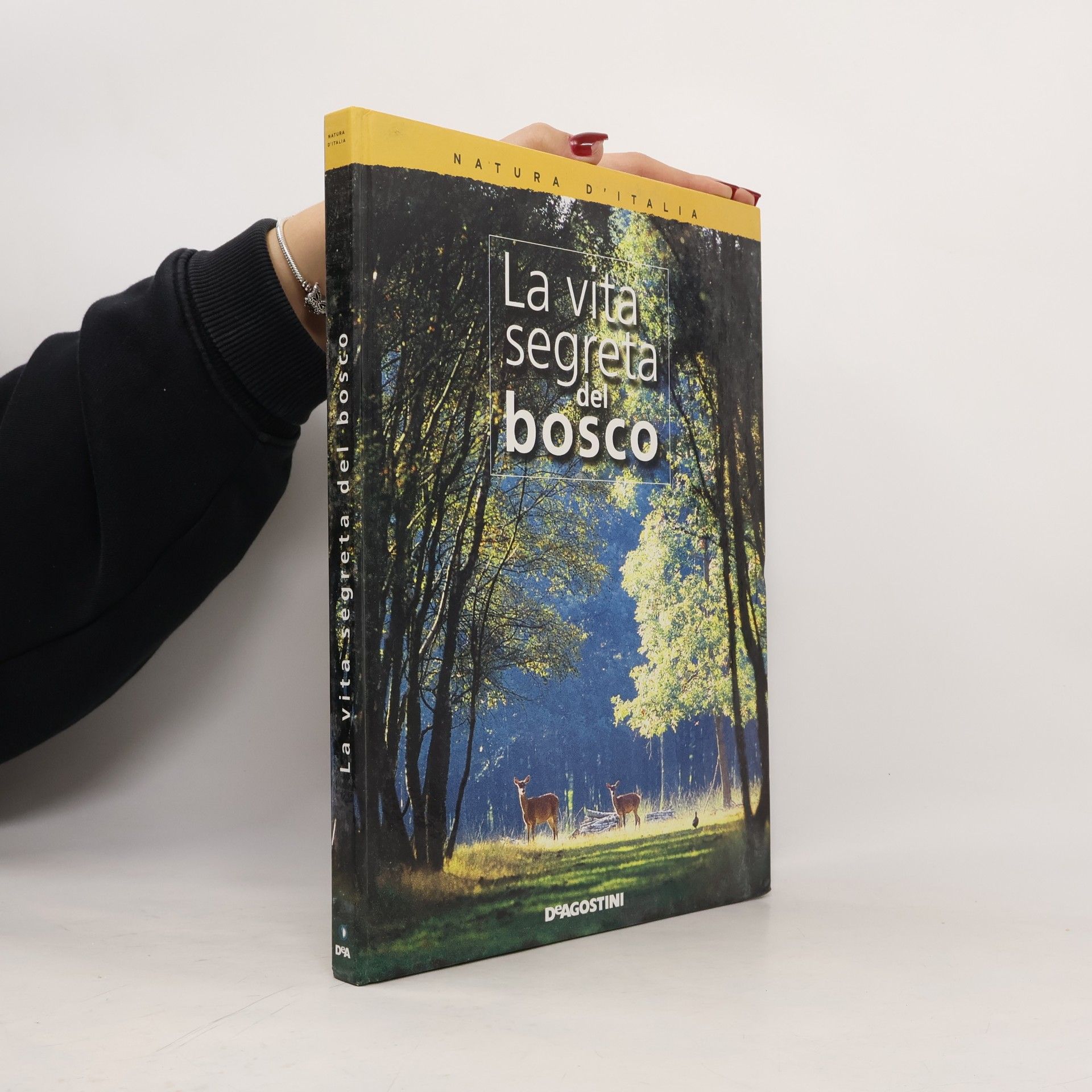 Autorenkollektiv La vita segreta del bosco