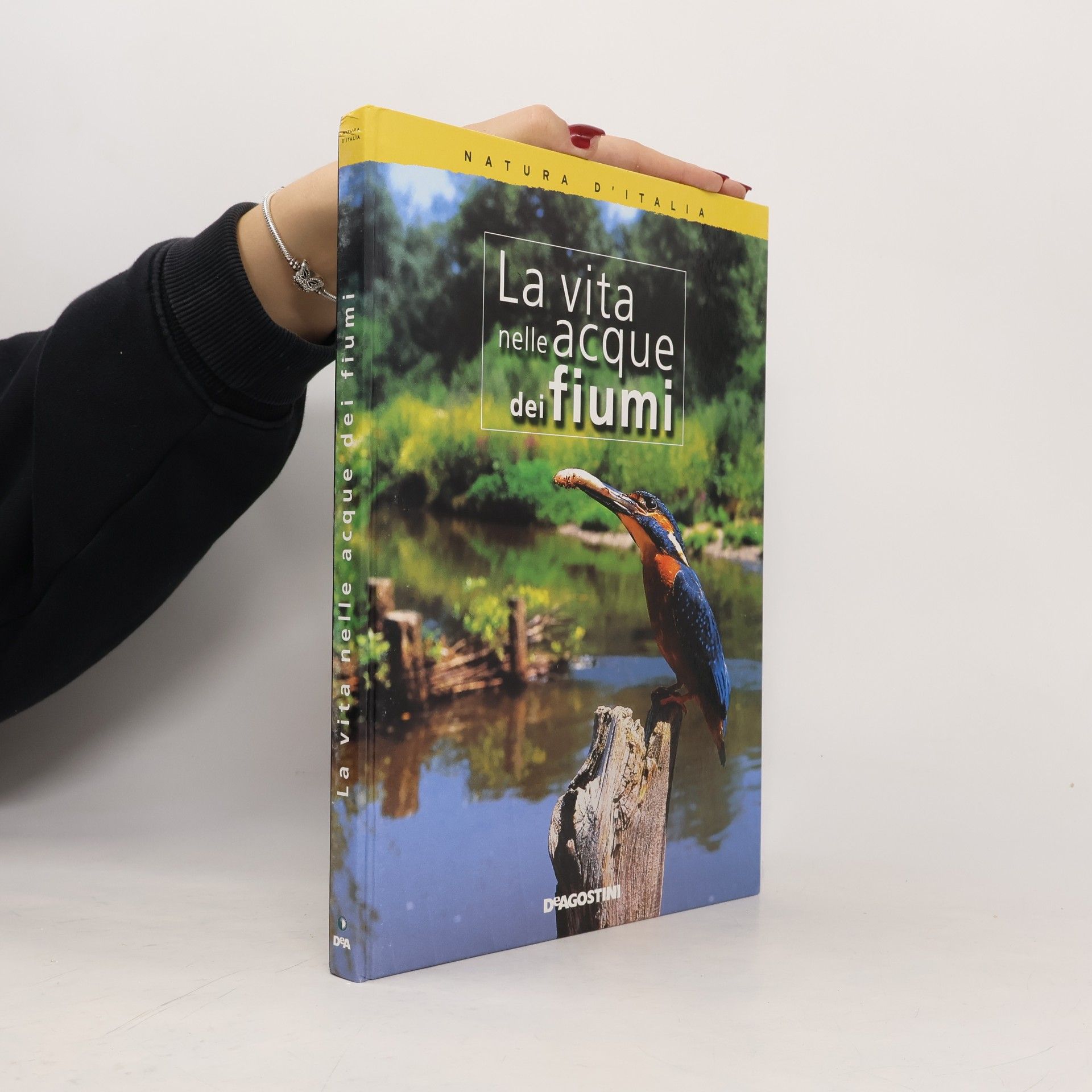 Autorenkollektiv La vita nelle acque dei fiumi