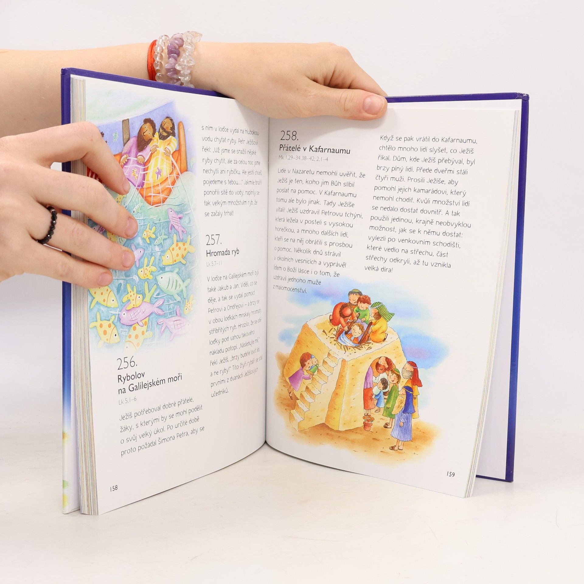 Sally Ann Wright 365 příběhů z Bible