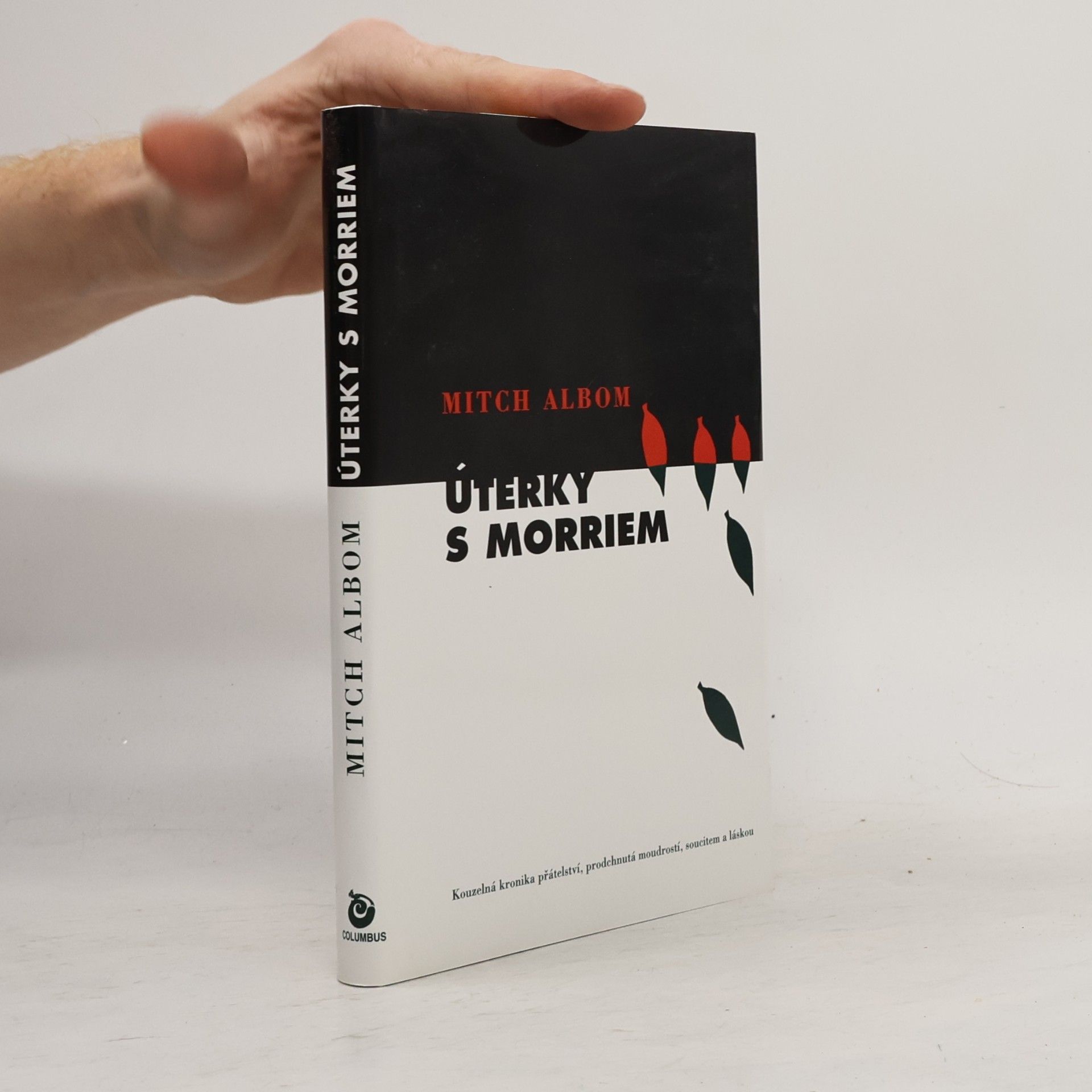 Mitch Albom Úterky s Morriem