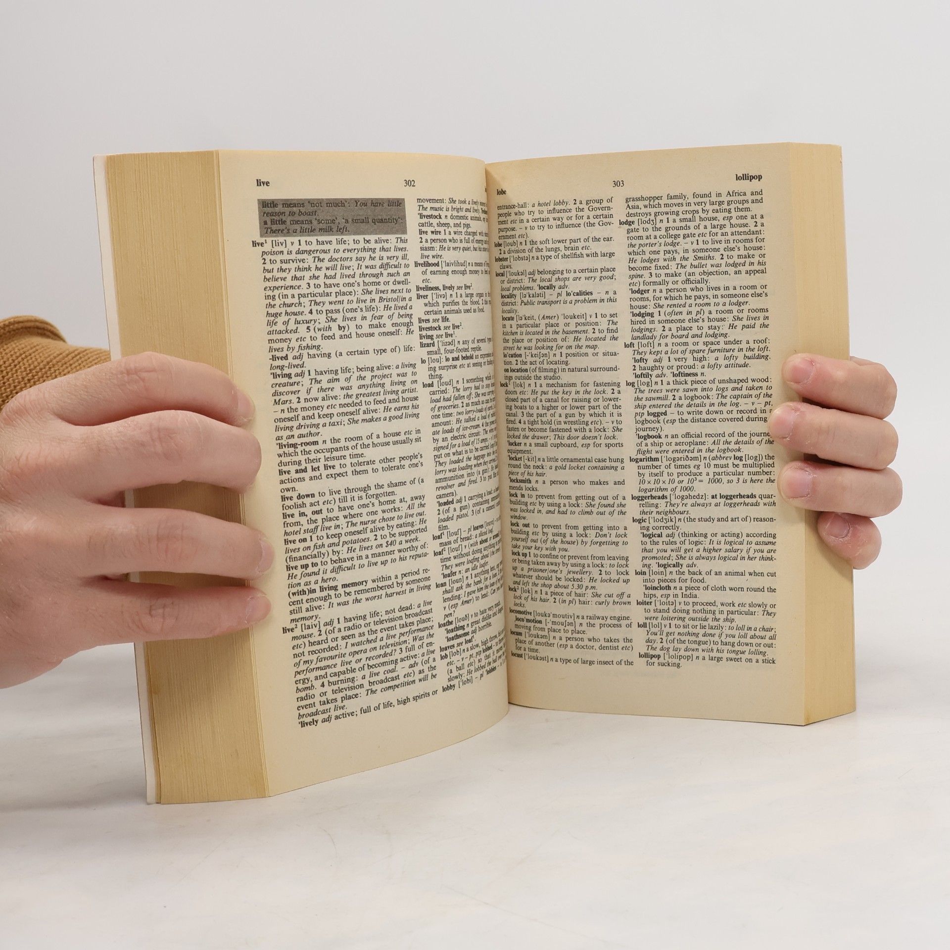 Robert J. Fitzhenry Dictionary of English Usage