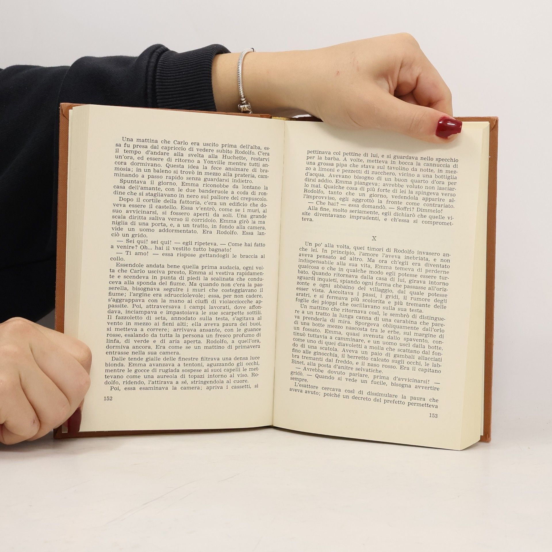 Gustave Flaubert Madame Bovary