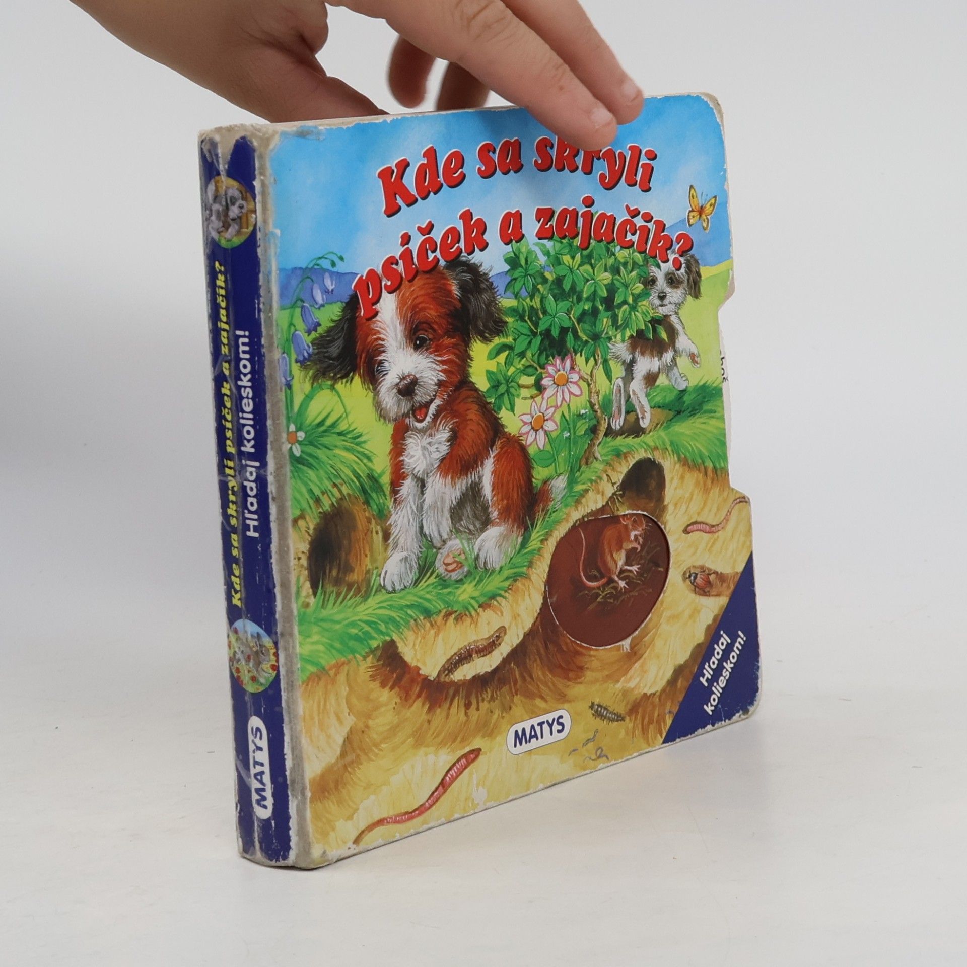 Kolektiv autorů Kde sa skryli psíček a zajačik ?