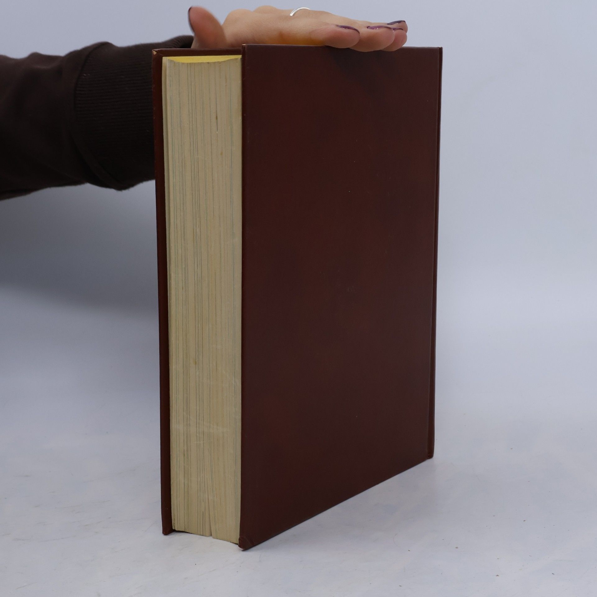 Horst Scharfenberg Das große Koch-und Küchenbuch