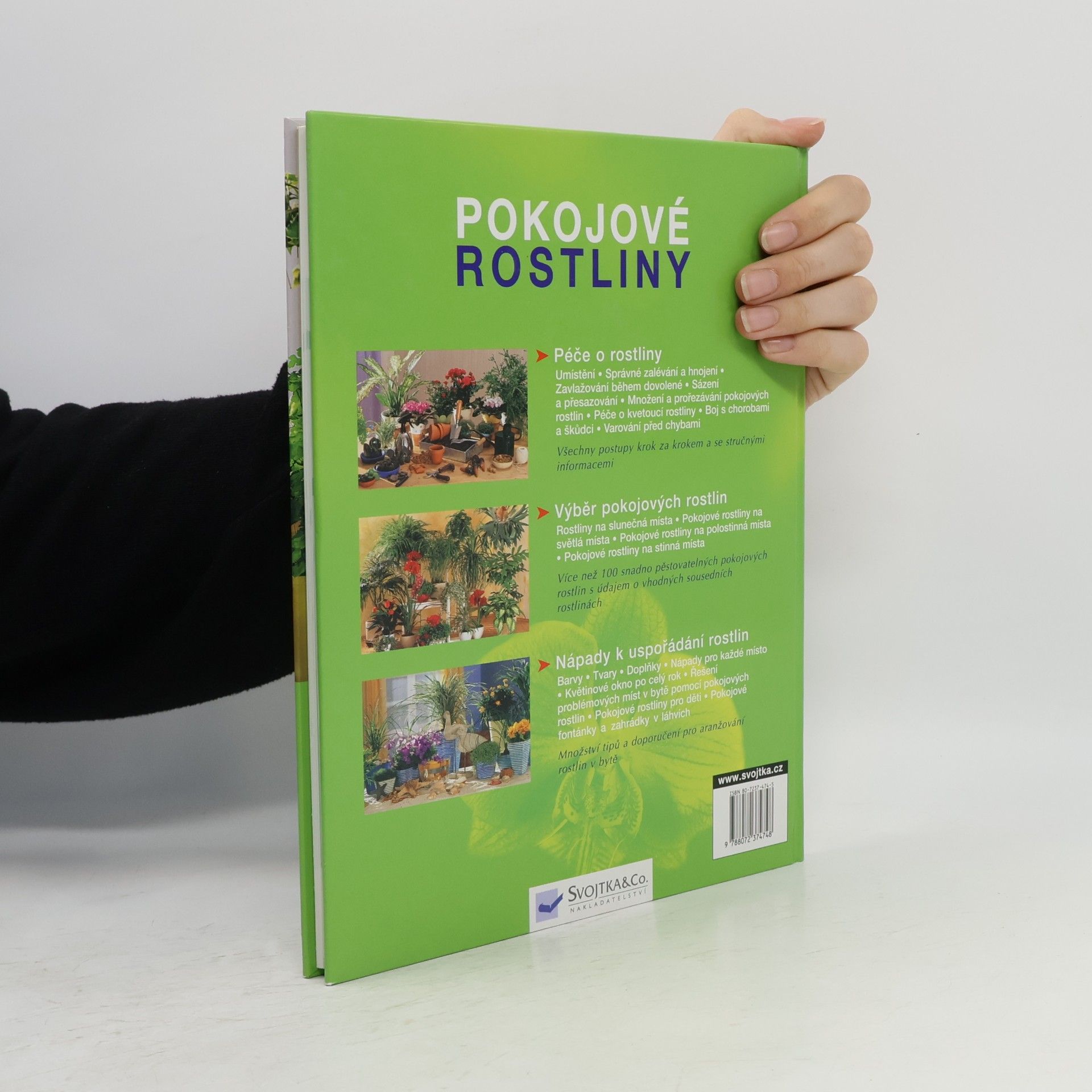 Anja Flehmig Pokojové rostliny