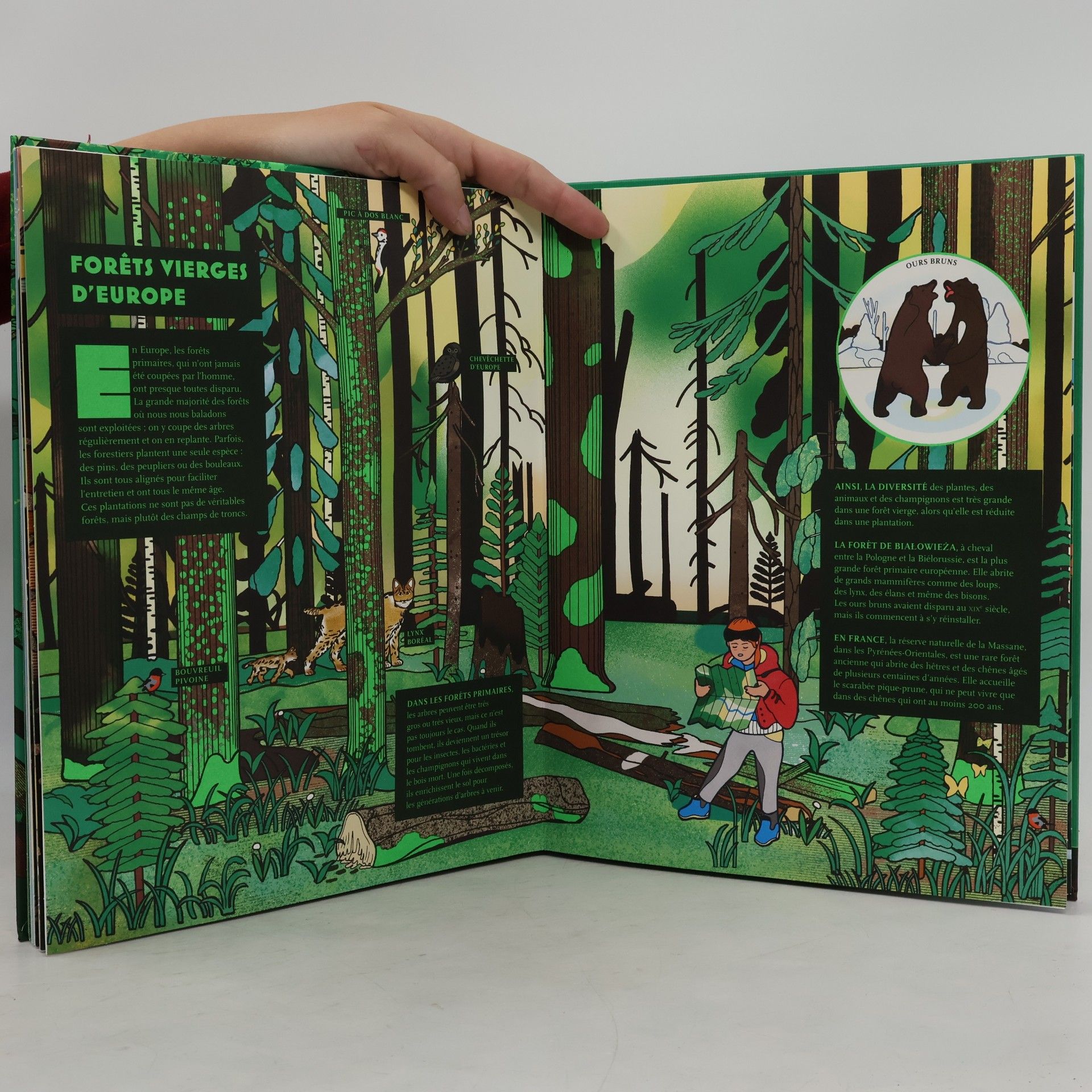 Fleur Daugey Pop-up Forêt
