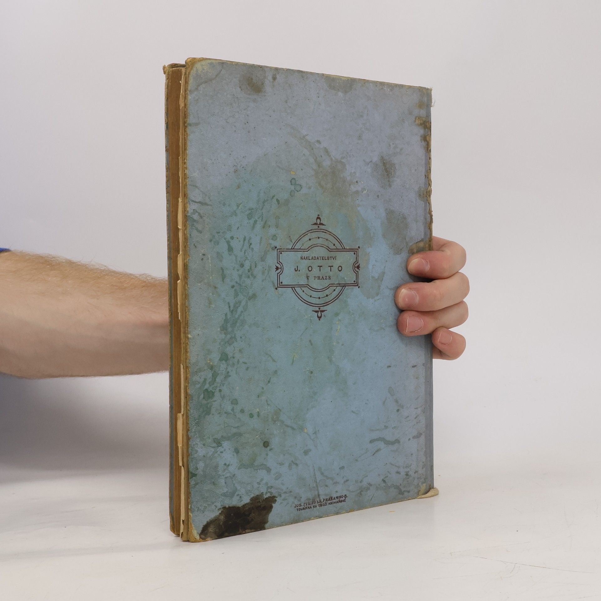 kolektiv KALENDÁŘ PANÍ A DÍVEK ČESKÝCH 1902