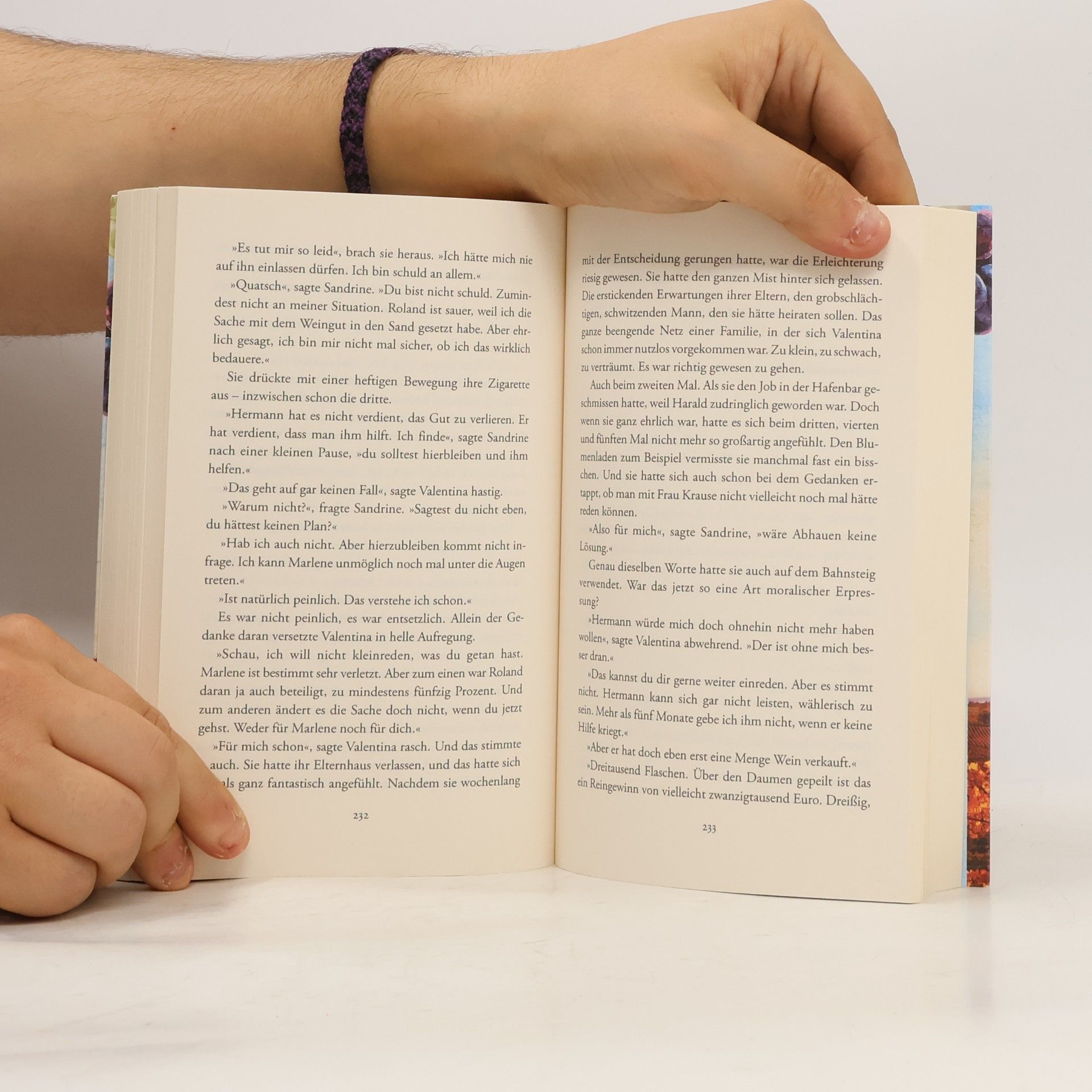 Brigitte Guggisberg Die Weinbergfrauen