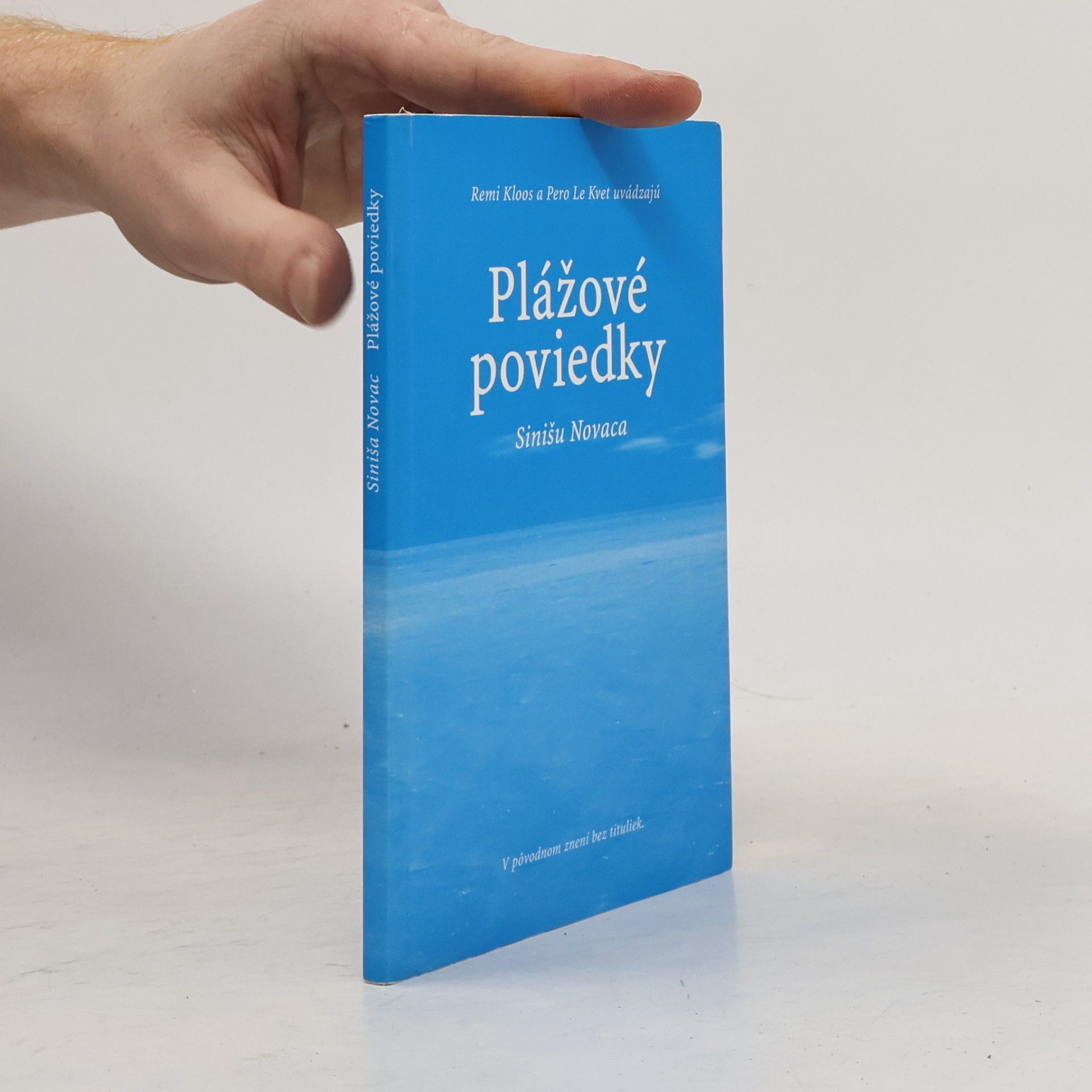 Remi Kloos Plážové poviedky Sinišu Novaca
