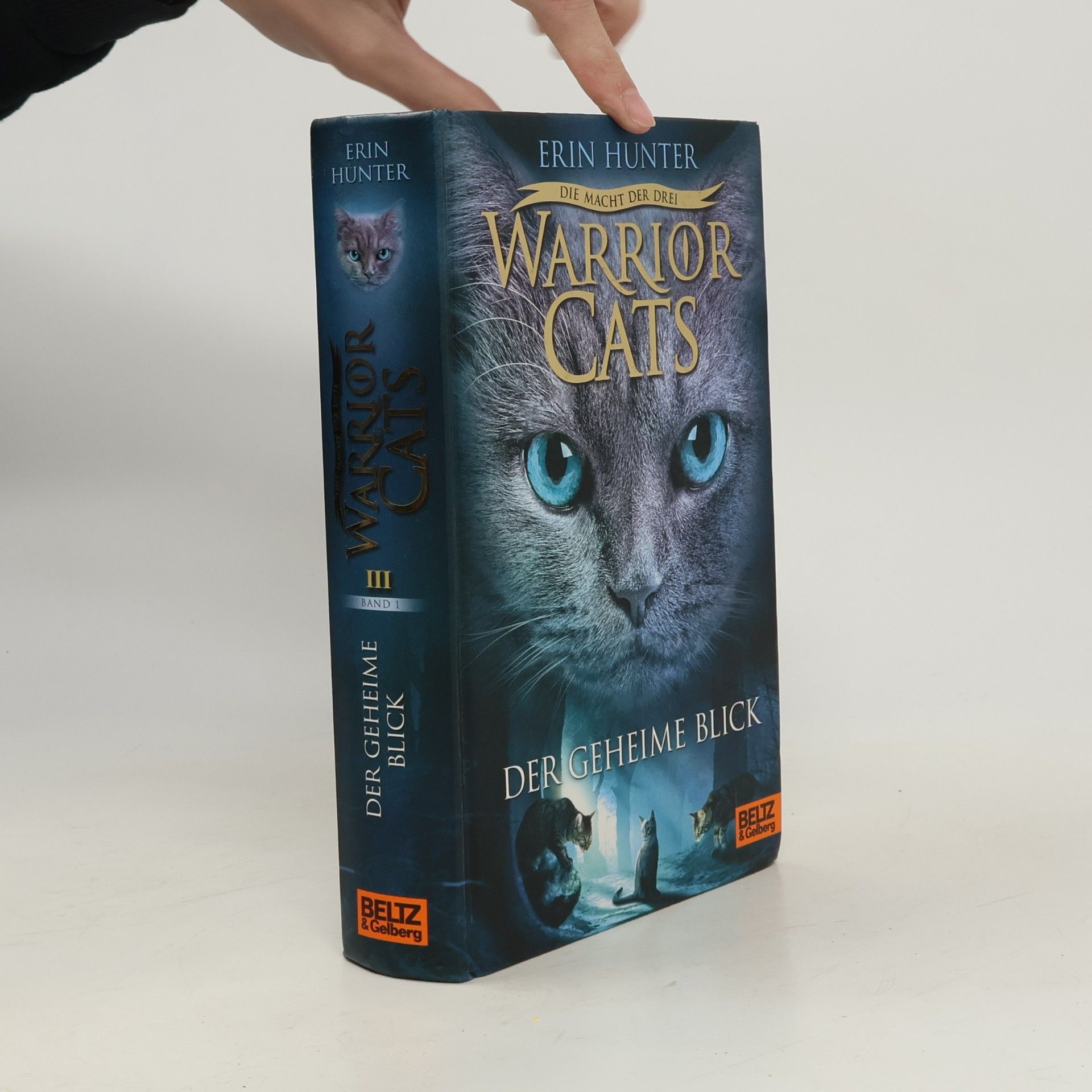 Erin Hunter Warrior Cats: Der geheime Blick