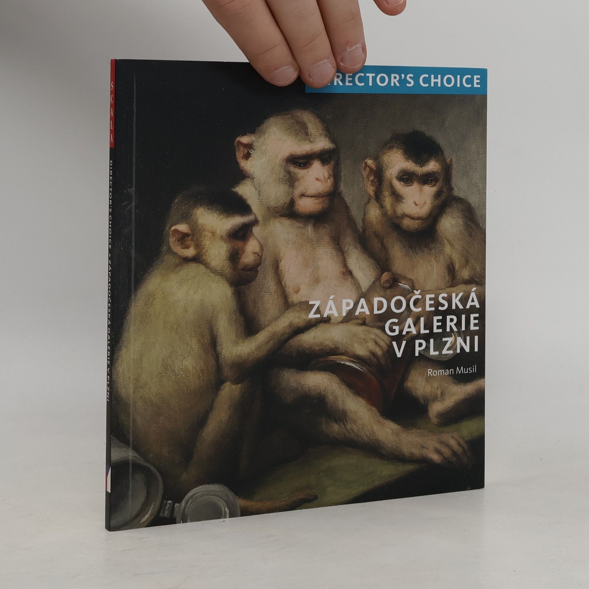 Alena Pomajzlová Západočeská galerie v Plzni