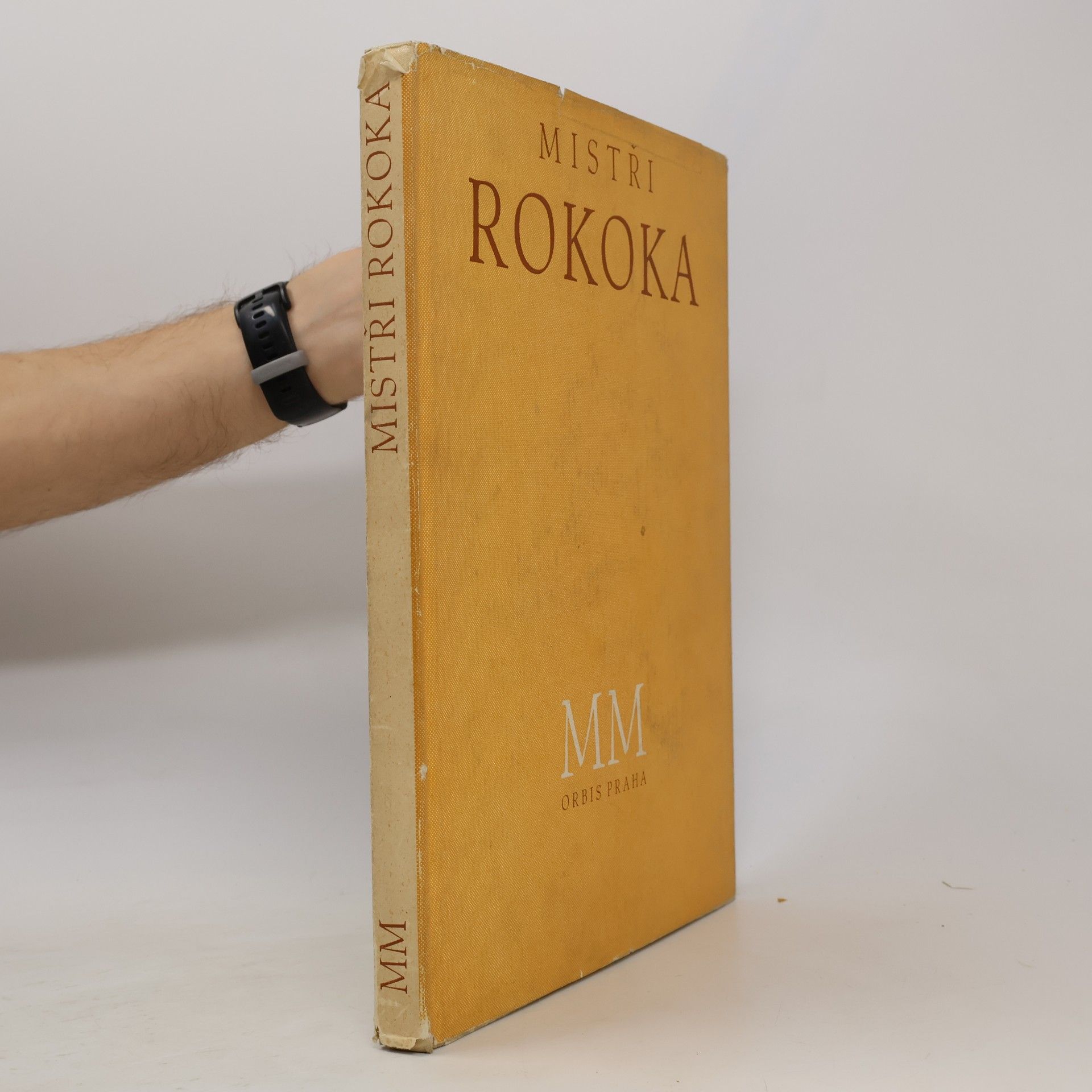 Antonín Matějček Mistři rokoka
