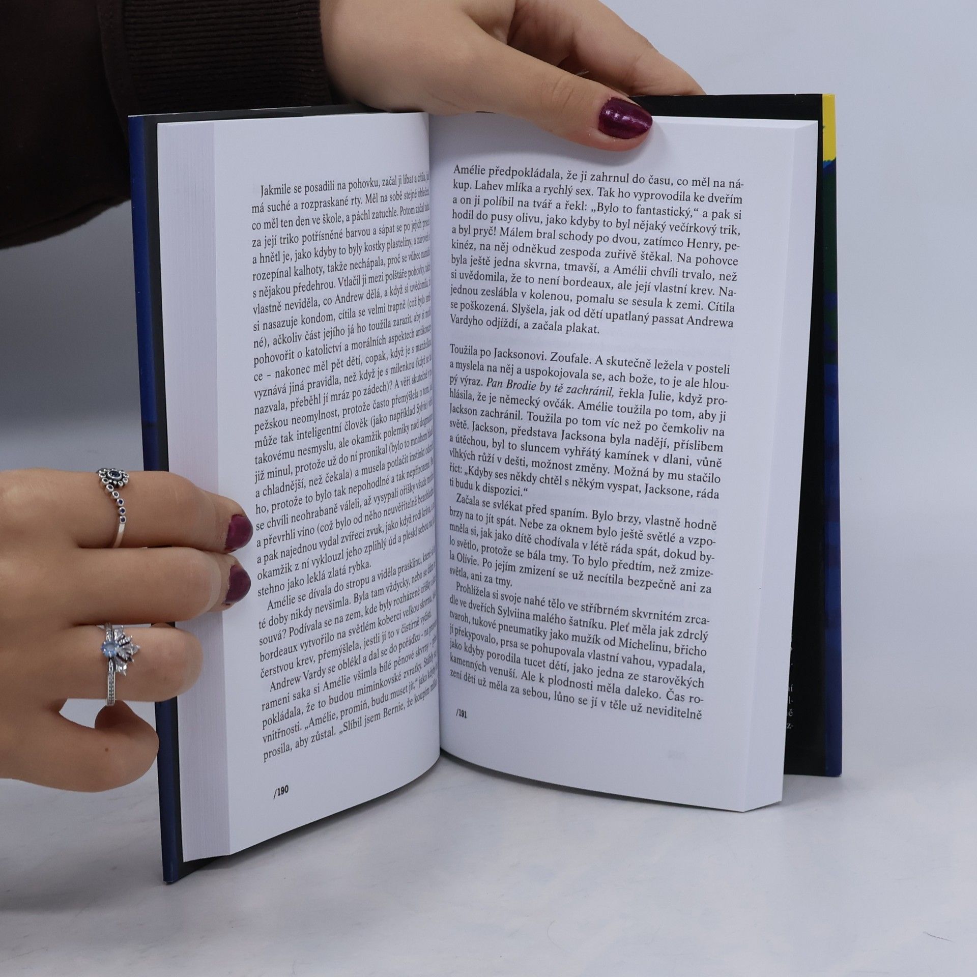Kate Atkinson Neuzavřené případy