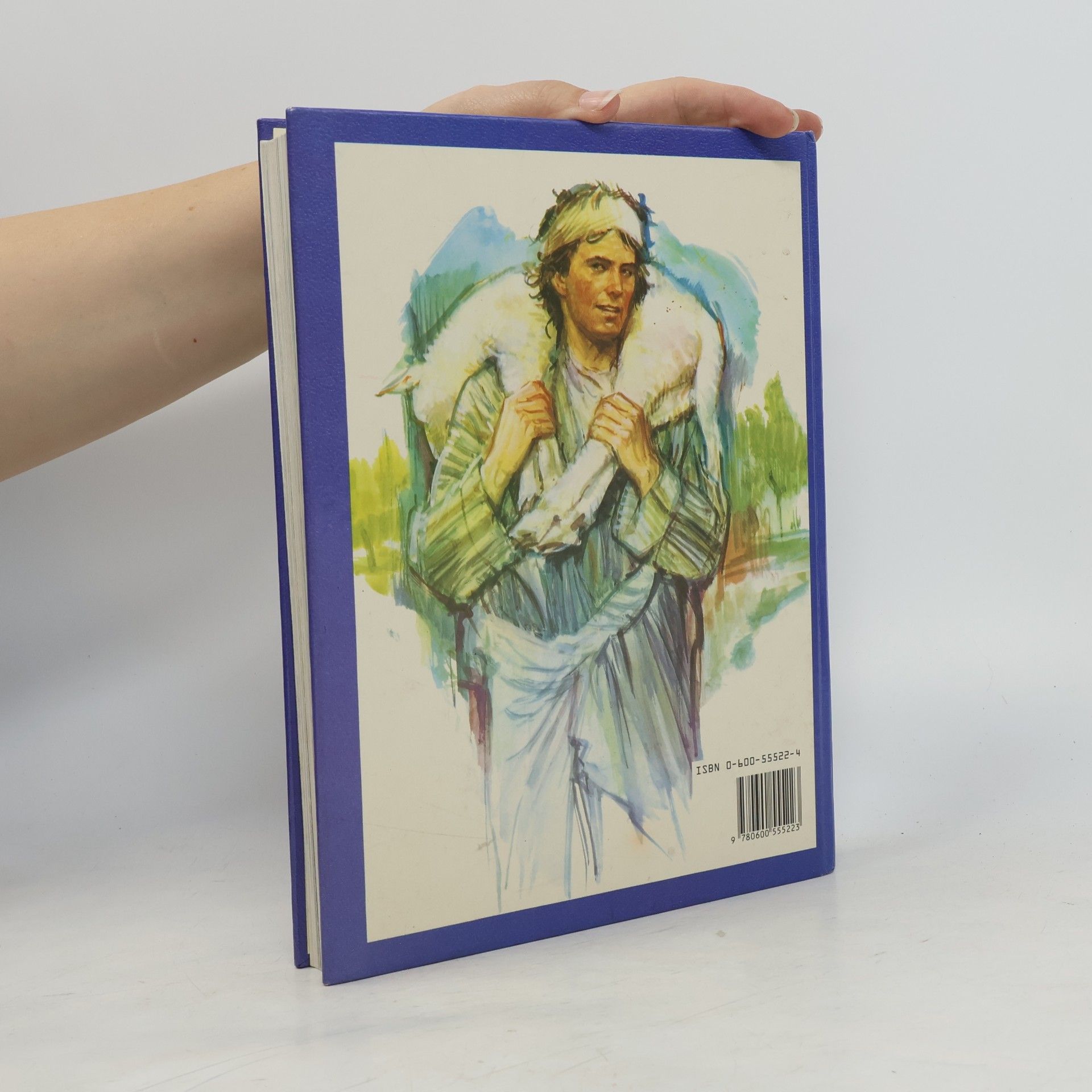 Ray Hughes Bible for children