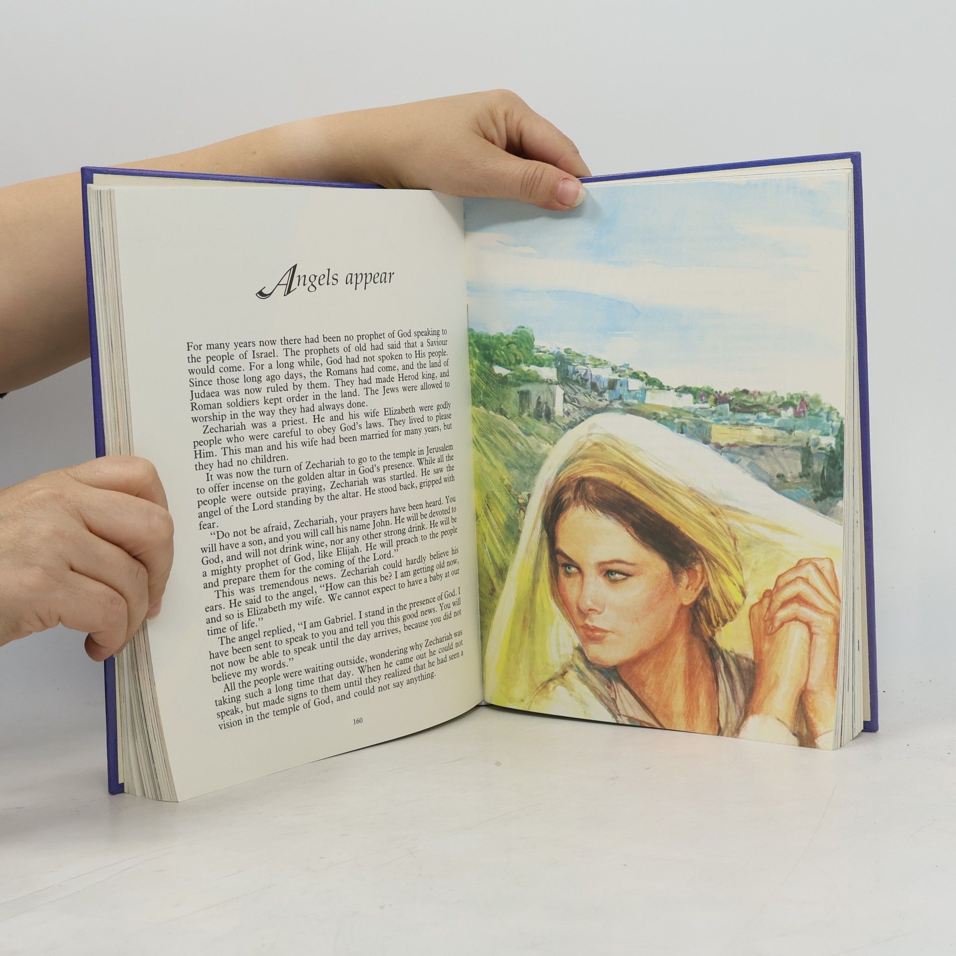Ray Hughes Bible for children