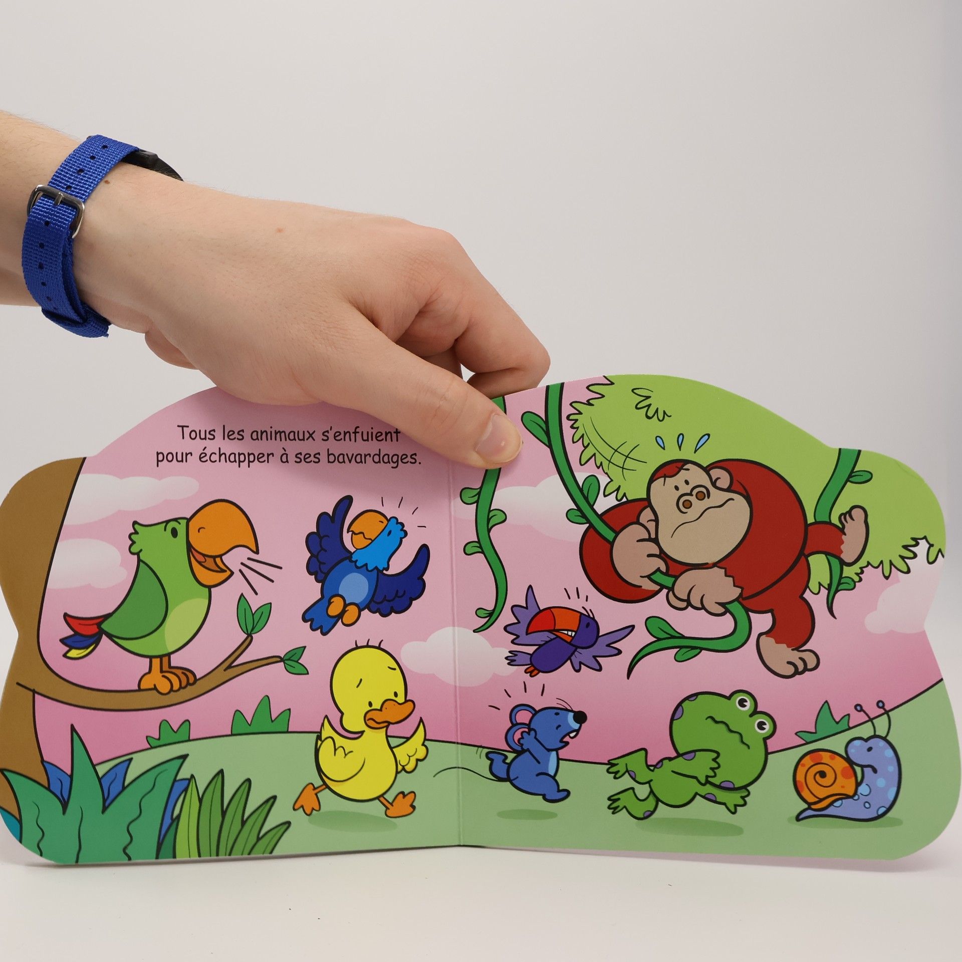 Kolektiv autorů Bozo le perroquet