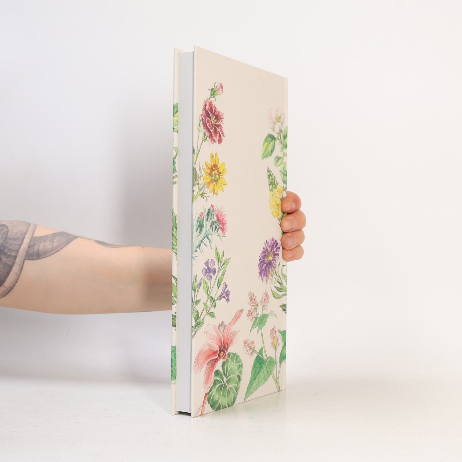Dagmar Renertová Poetický herbář: Tobě já.