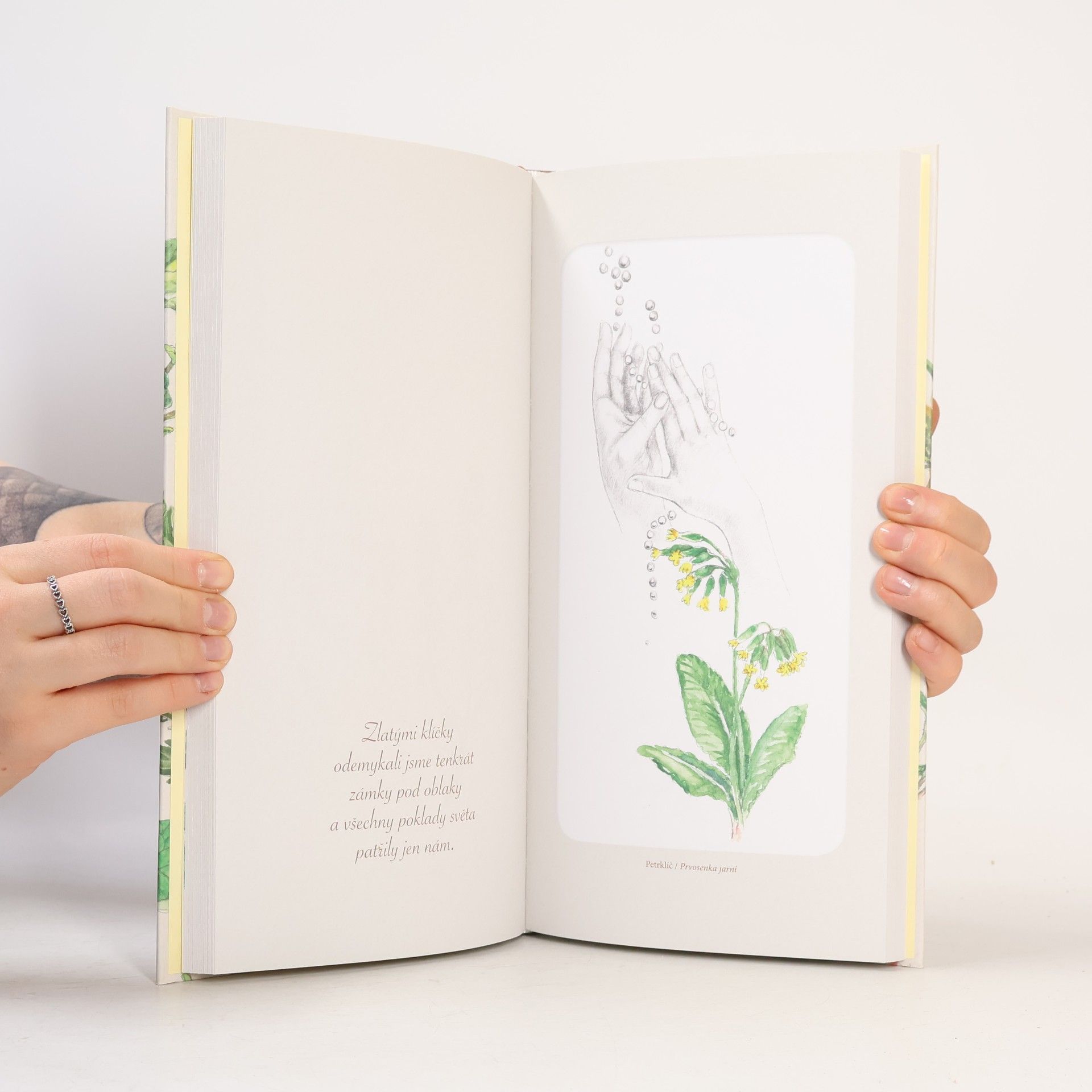 Dagmar Renertová Poetický herbář: Tobě já.