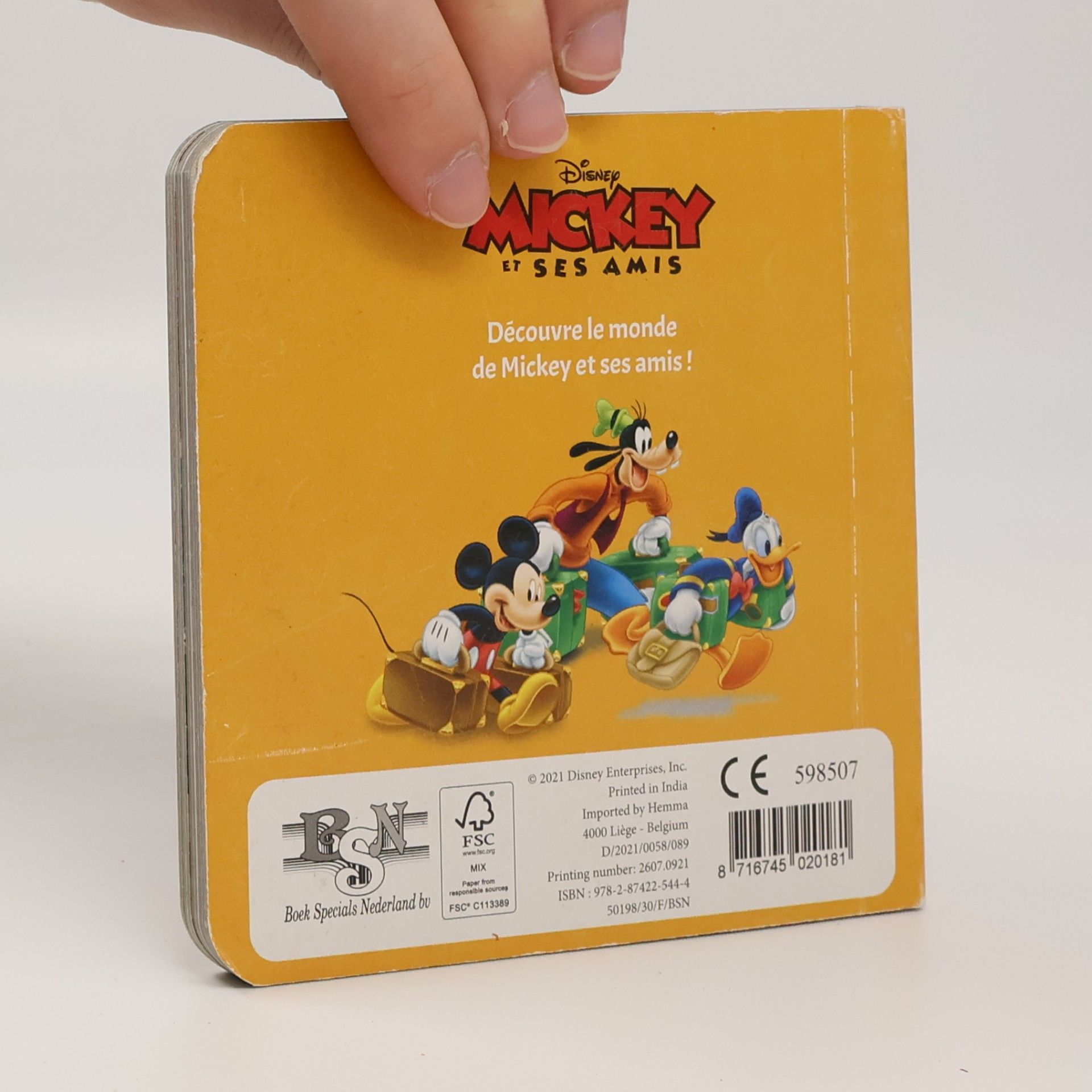 Kolektiv autorů Les vacances de Mickey
