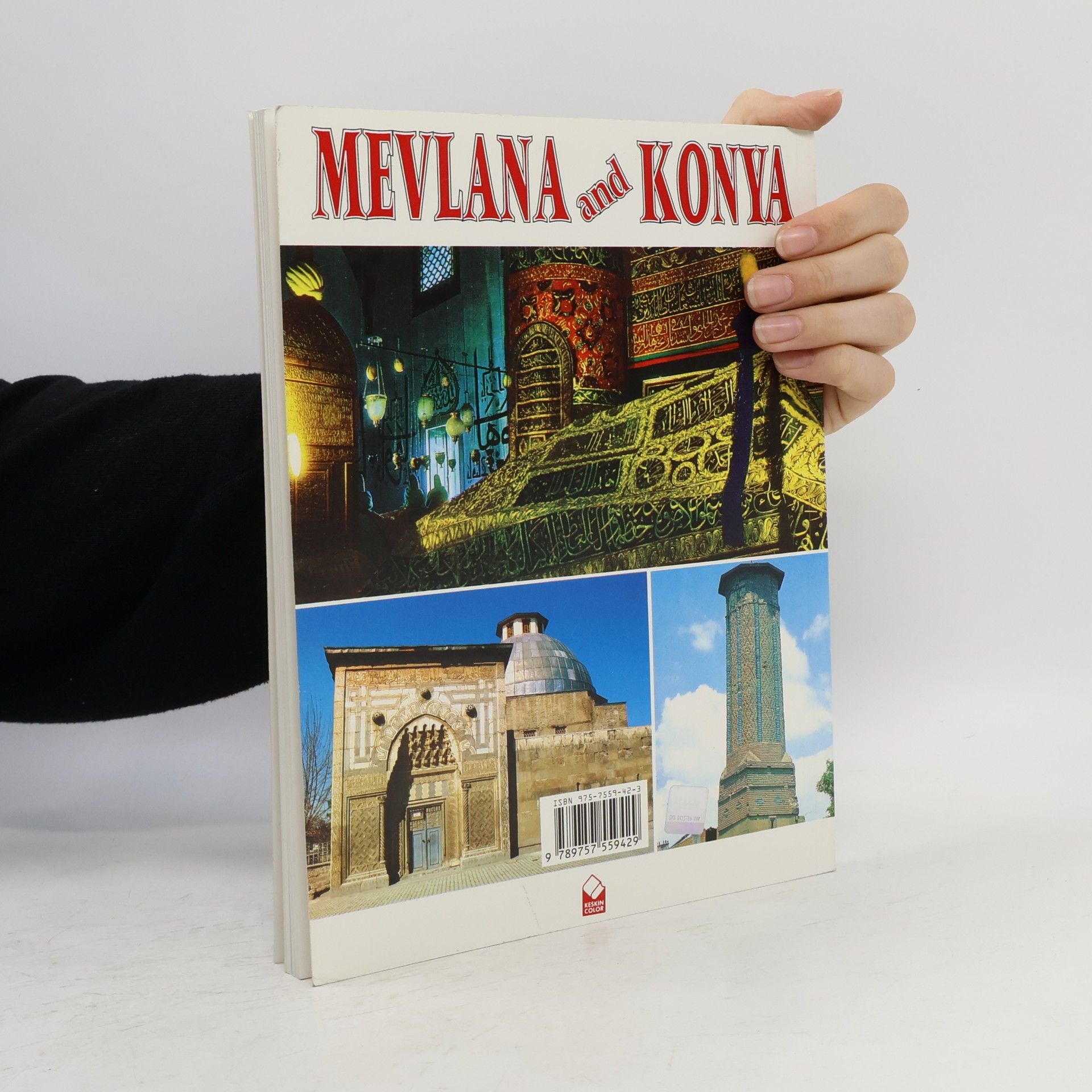 Mehmet Önder Mevlana and Konya