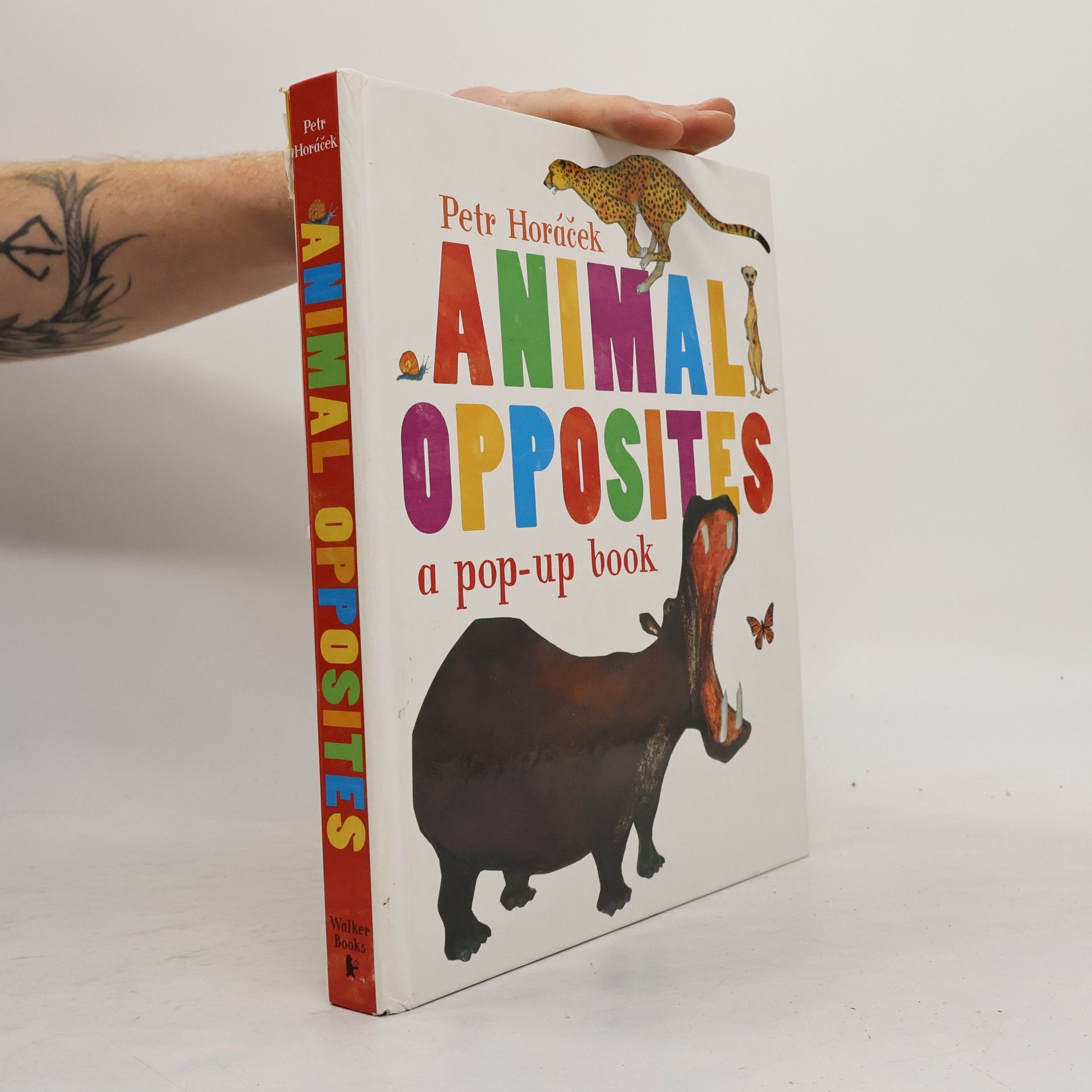 Petr Horác̆ek Animal opposites : a pop-up book