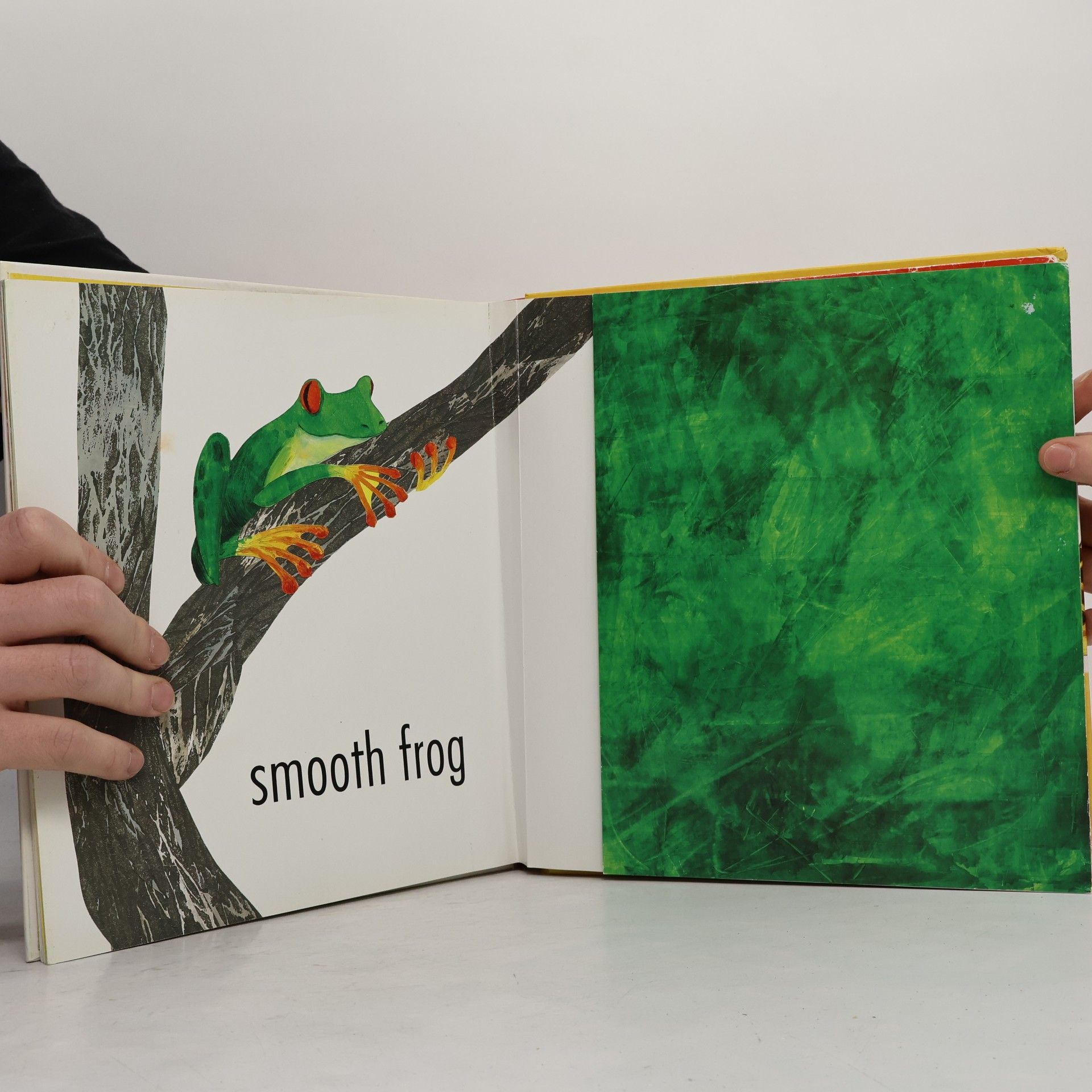 Petr Horác̆ek Animal opposites : a pop-up book