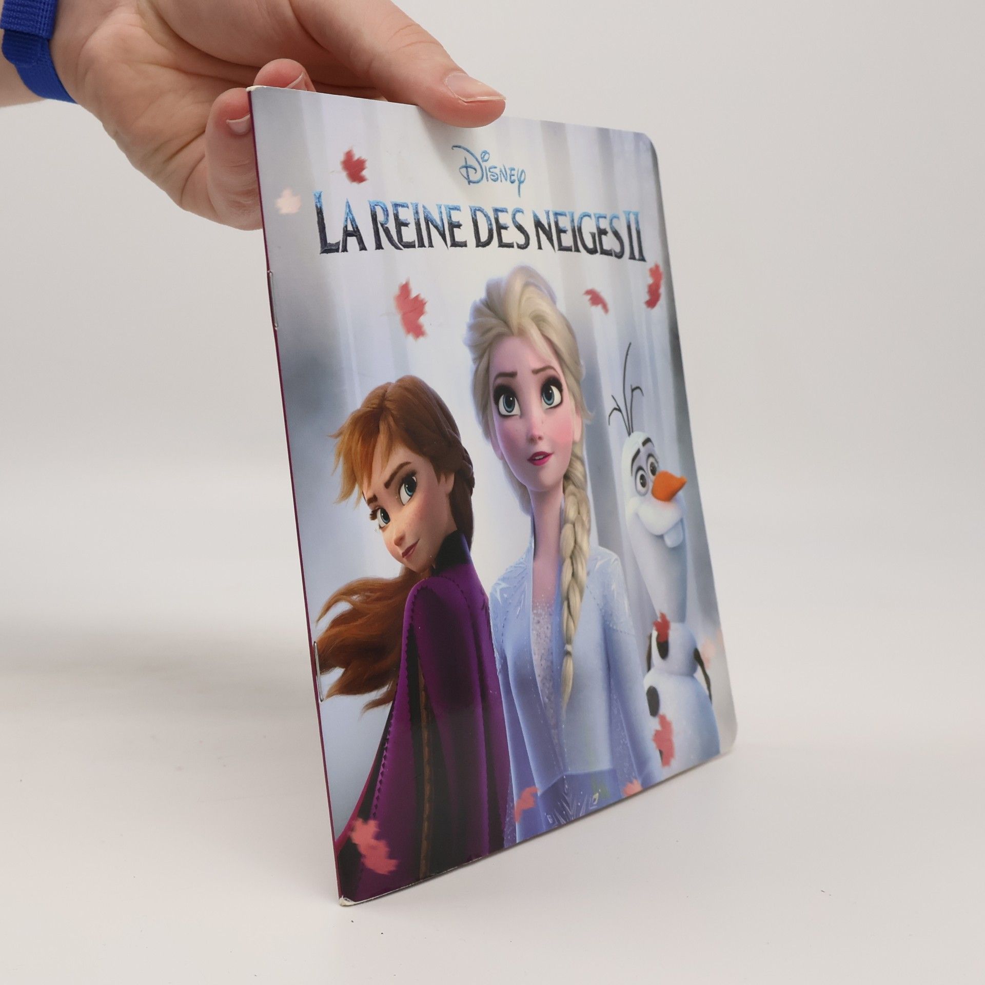 Kolektiv autorů La Reine des Neiges II