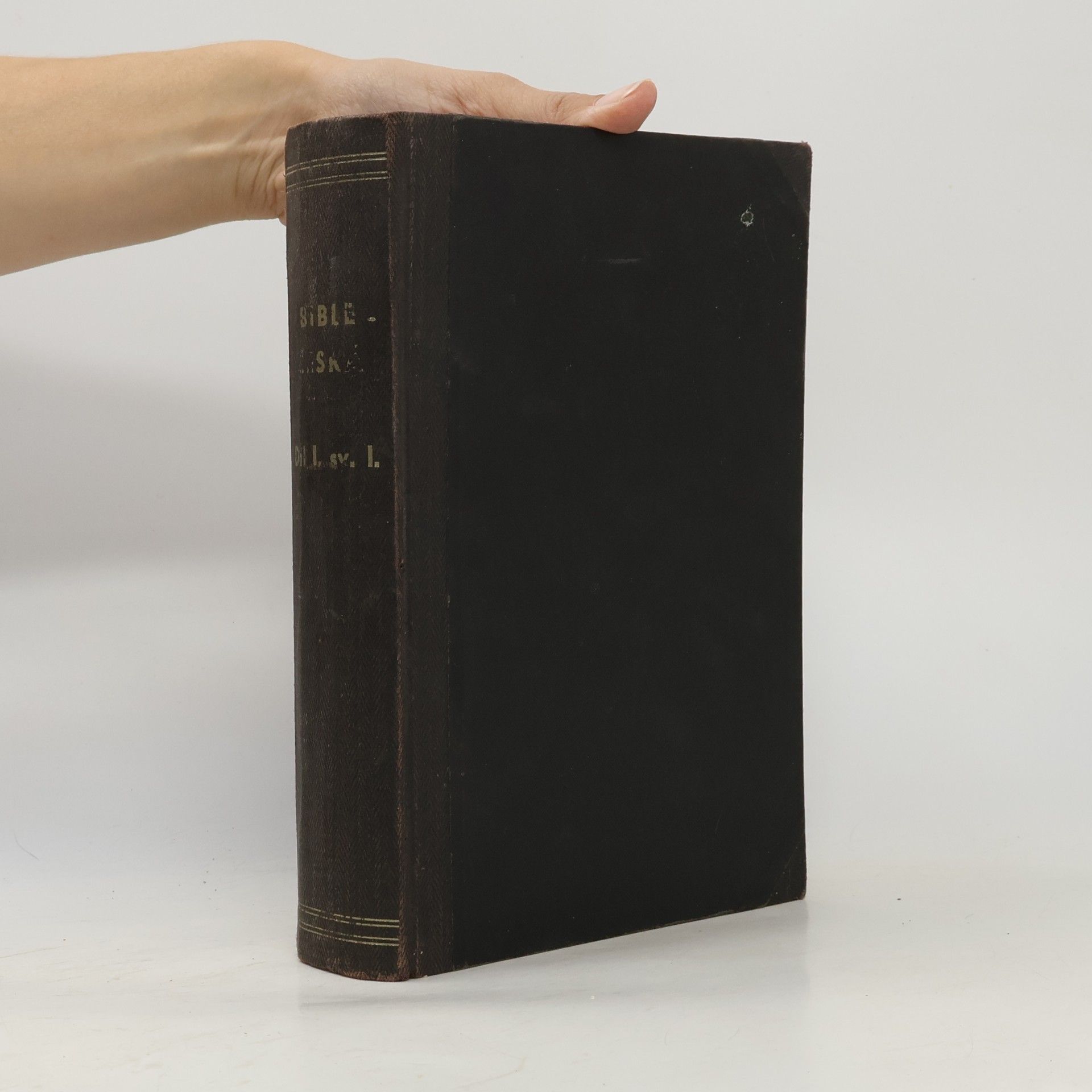 Jan Hejčl Bible česká