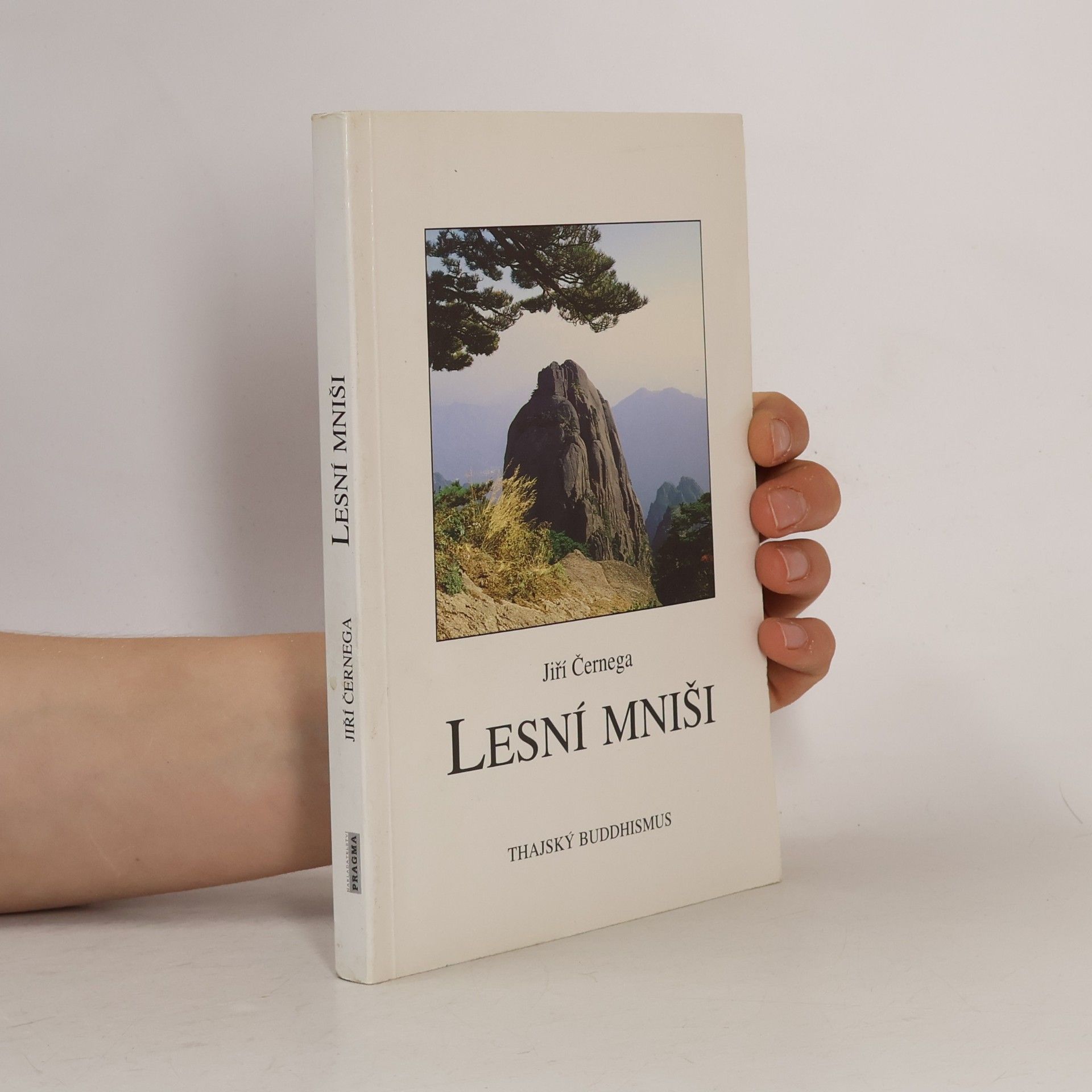 Lesní mniši: některé aspekty současného thajského buddhismu