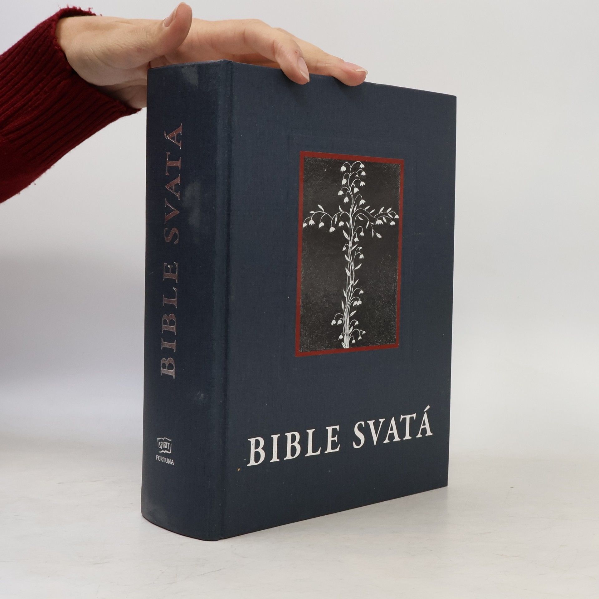 Kolektiv autorů Kralická Bible svatá, aneb, Všecka svatá písma Starého i Nového zákona : podle posledního vydání Kralického z roku 1613