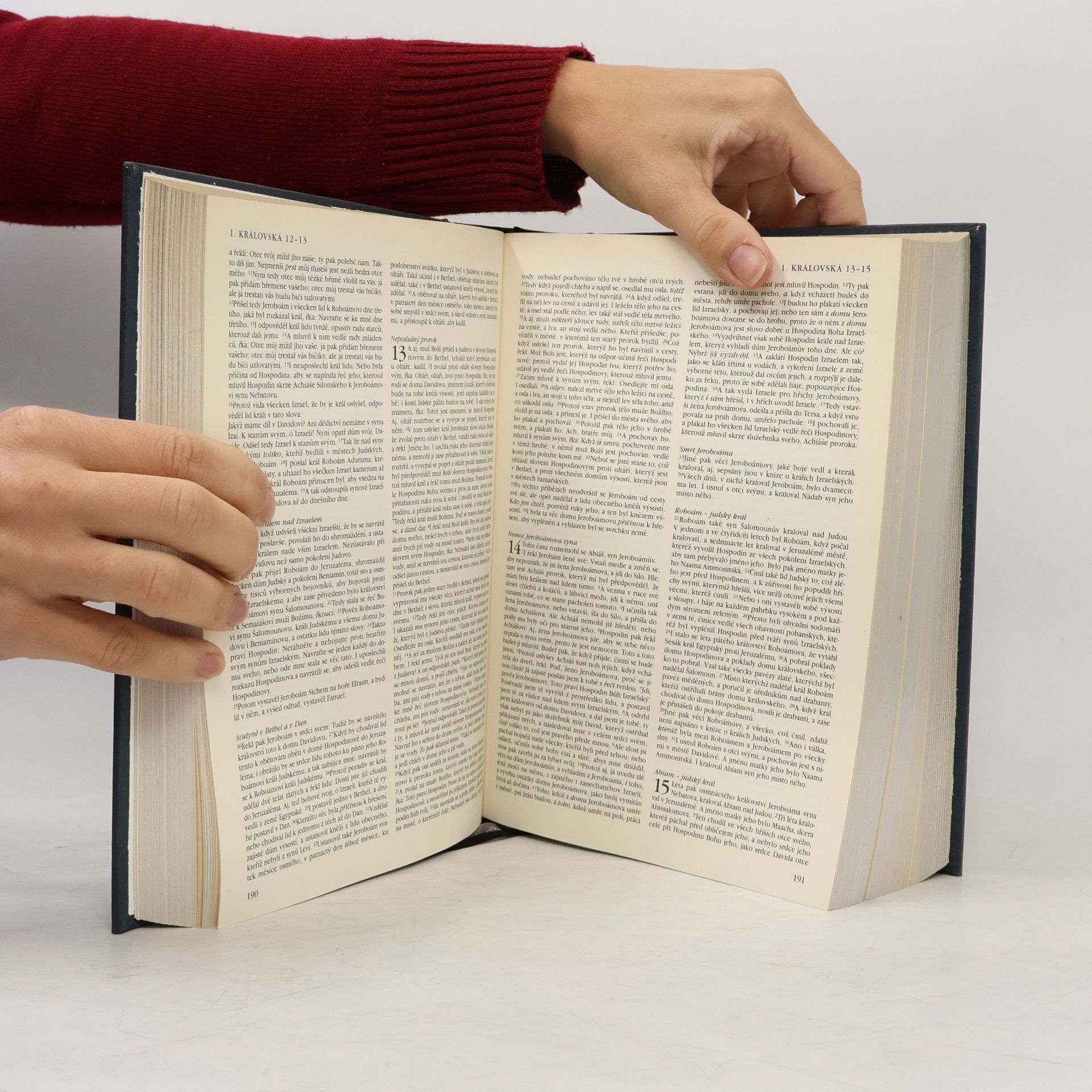 Various authors Kralická Bible svatá, aneb, Všecka svatá písma Starého i Nového zákona : podle posledního vydání Kralického z roku 1613