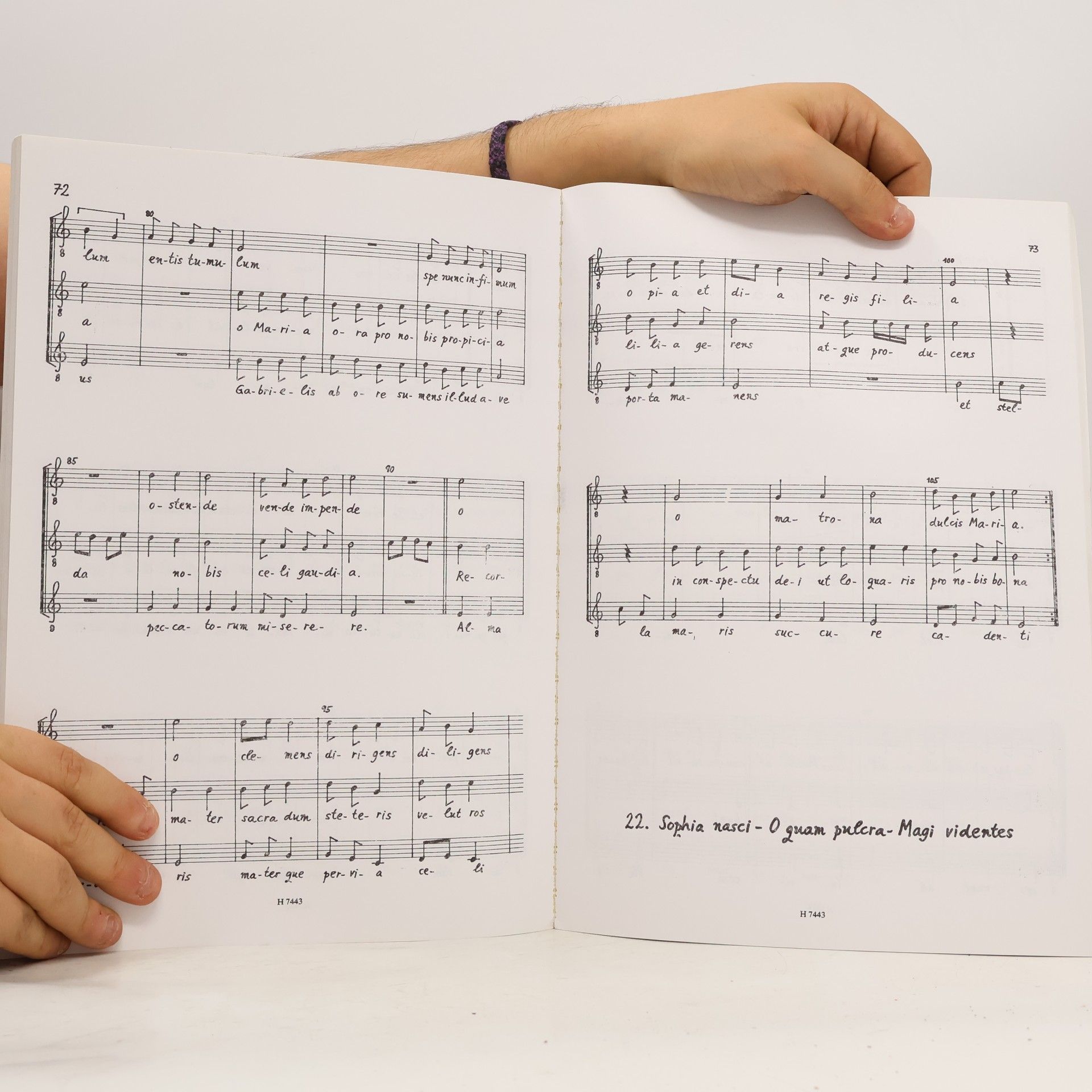 Moteti Medii Aevi. Voci con strumenti ad libitum. Mehrtextige Motetten des 14. und 15. Jahrhunderts