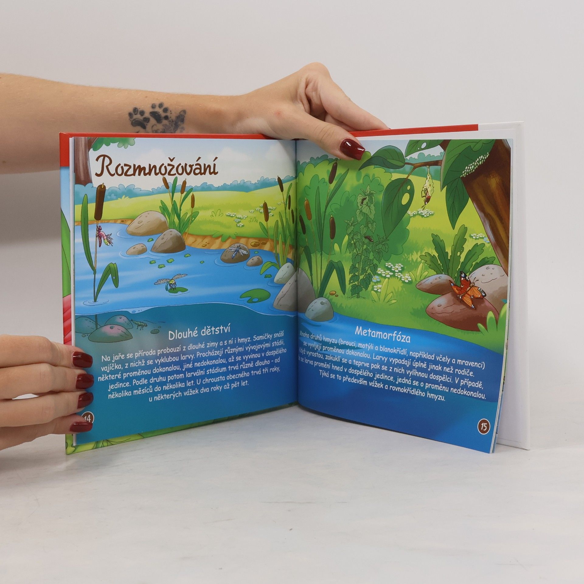 Autorenkollektiv Na okraji lesa 56. Hmyz
