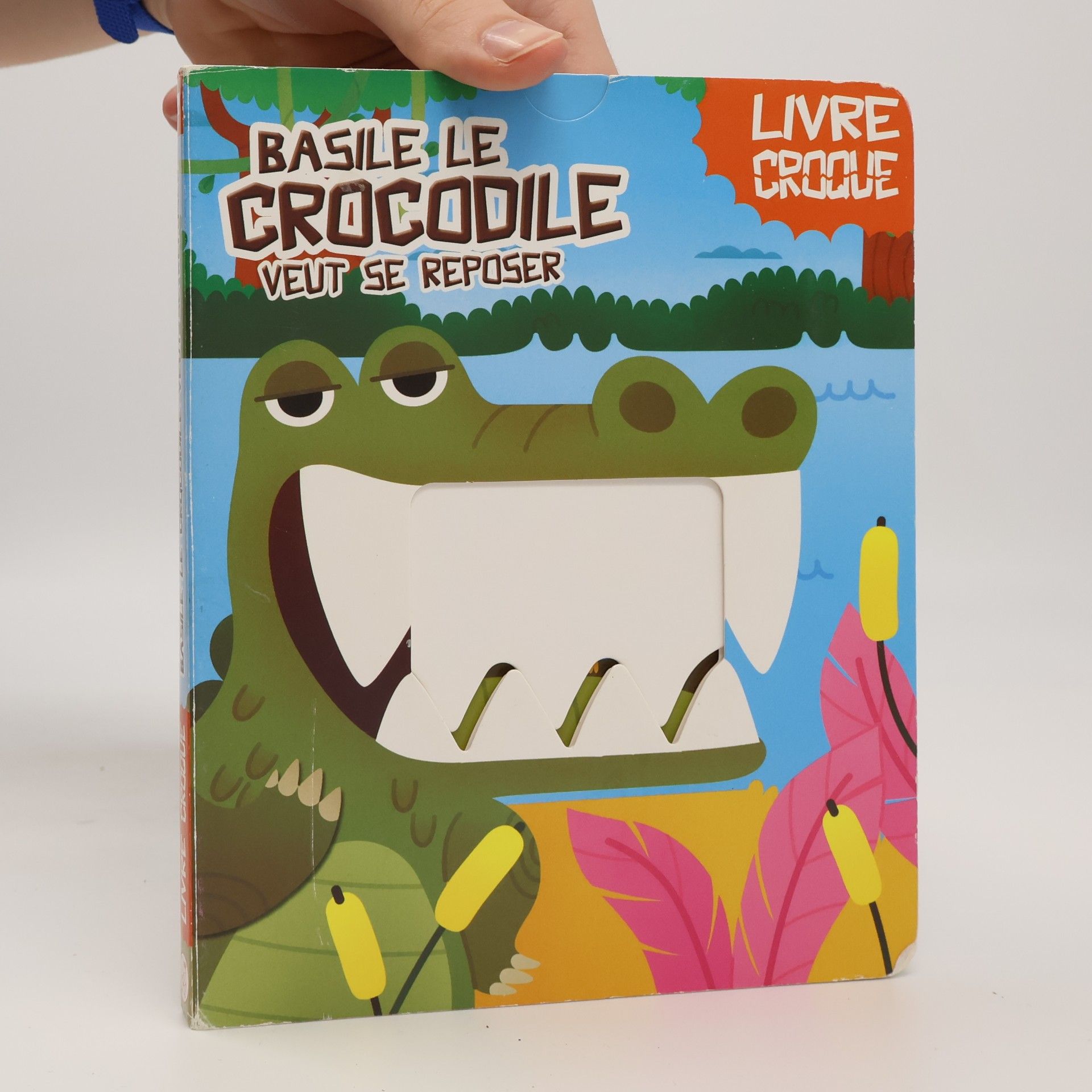 Kolektiv autorů Basile le crocodile veut se reposer