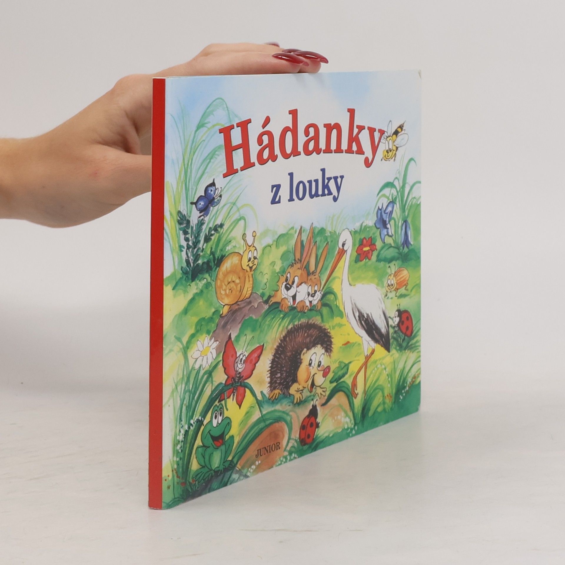 Zuzana Pospíšilová Hádanky z louky