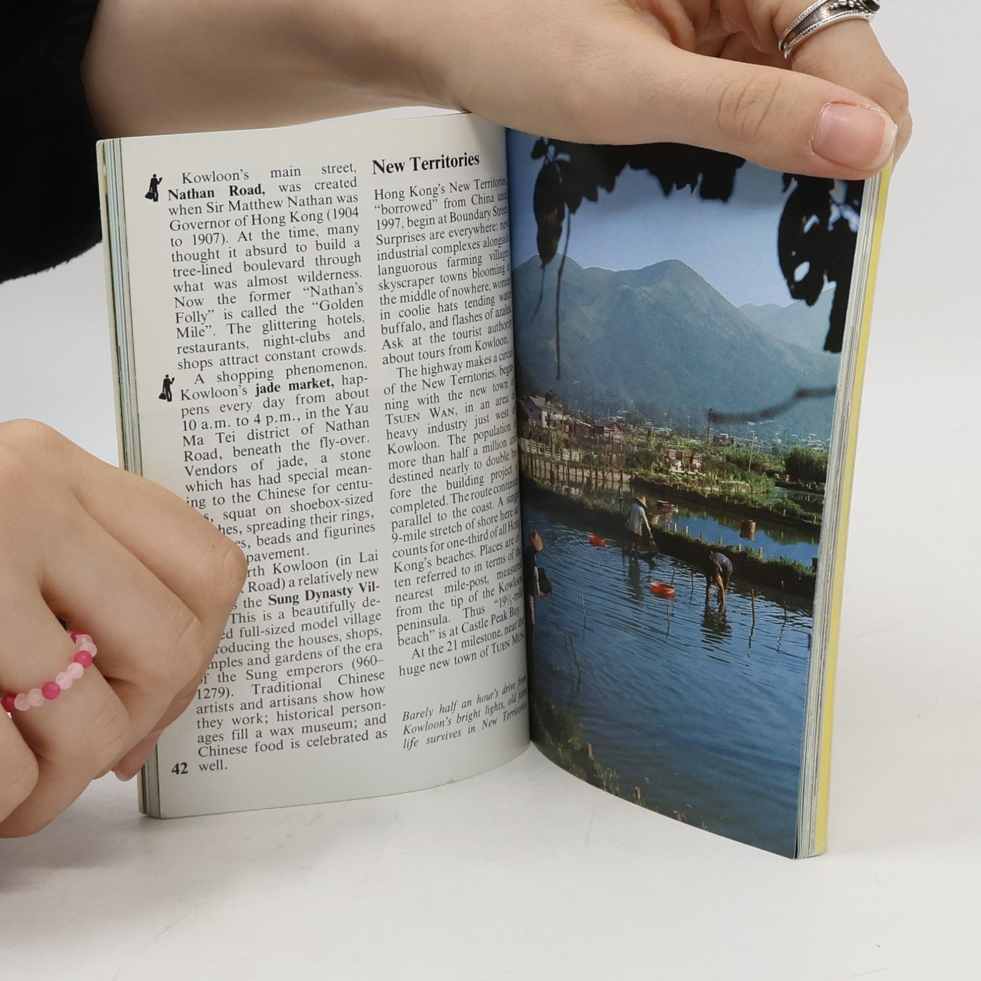 Berlitz Publishing Company Berlitz Travel Guide: Hong Kong