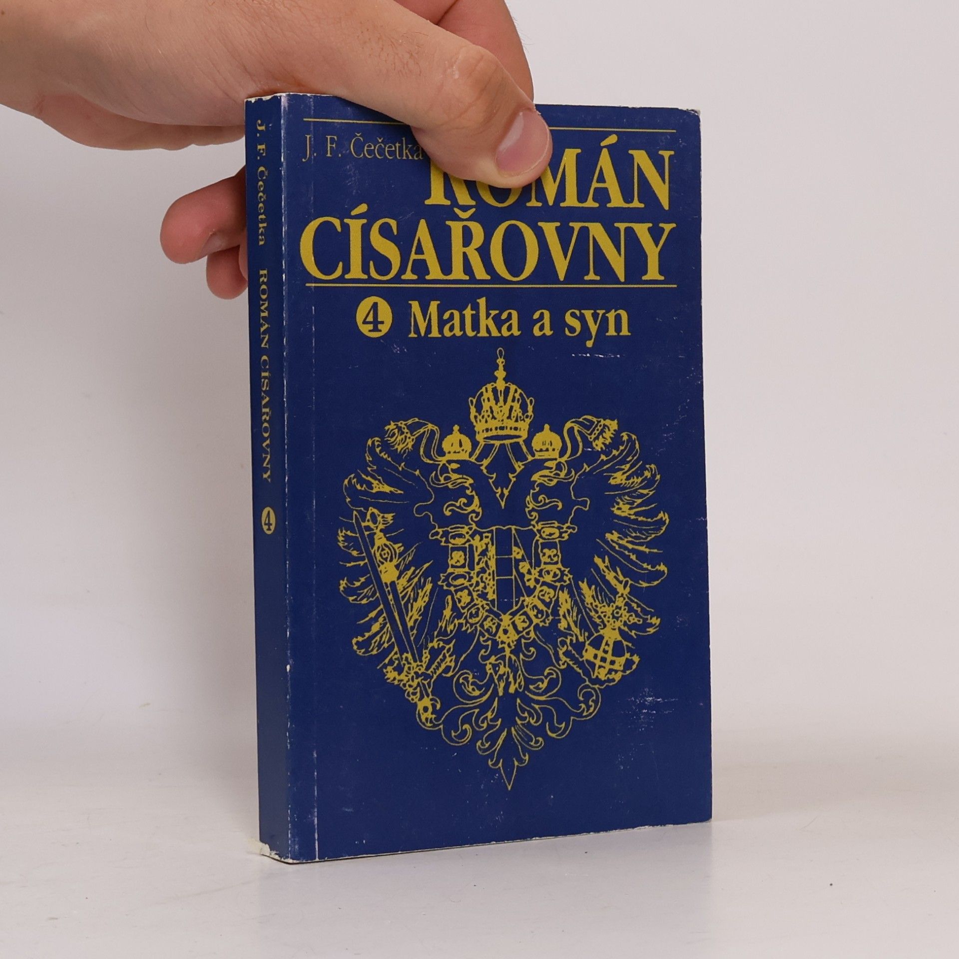 František Josef Čečetka Matka a syn